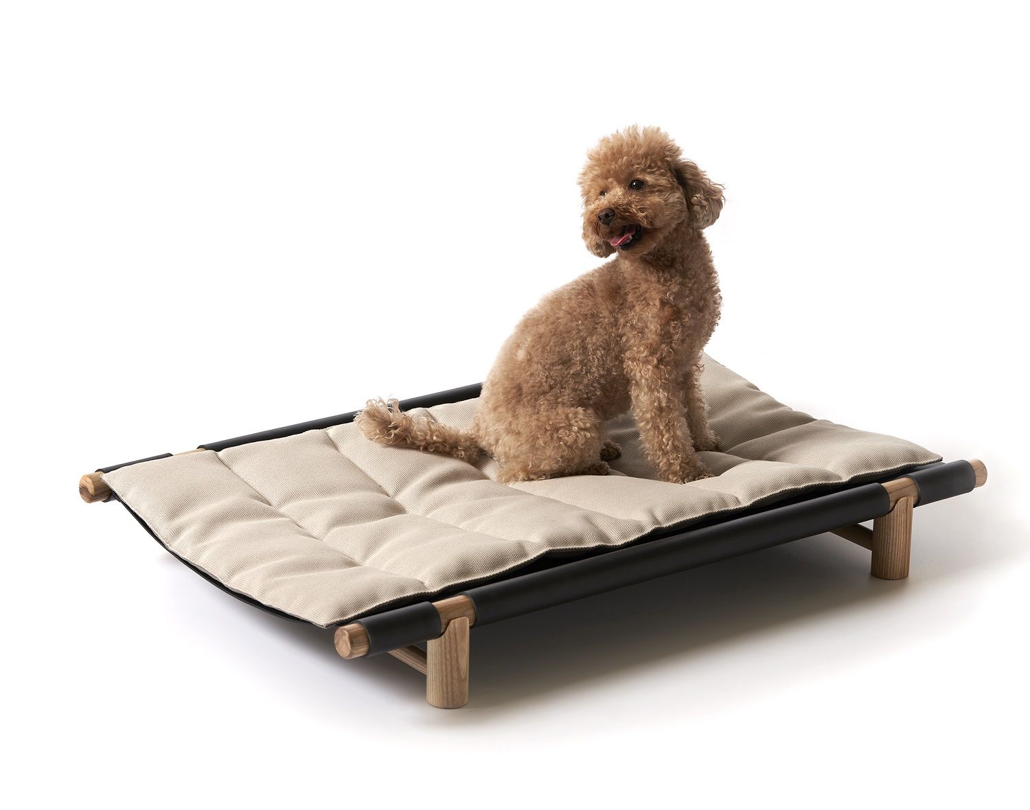 Brauner Pudel sitzt auf dem Berberé Hundebett von Opinion Ciatti, einem tragbaren Hundebett.