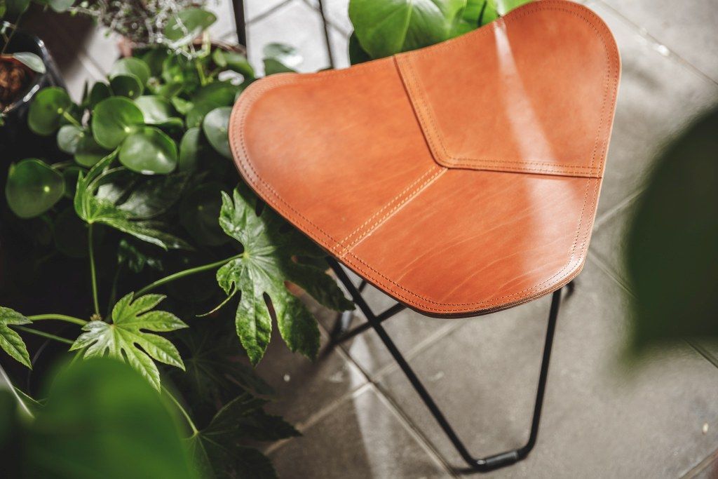 Pampa Flying Goose Hocker Cuero 