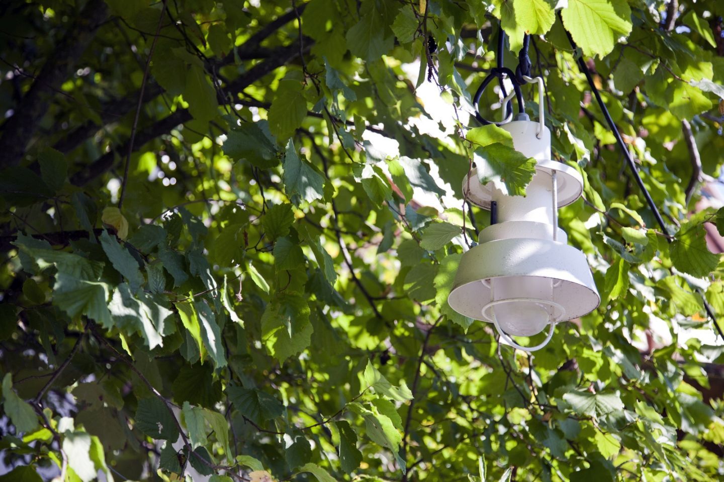 Anthrazitfarbene Polo Outdoor Pendelleuchte von Martinelli Luce hängt an einem Baum. Gartenbeleuchtung.