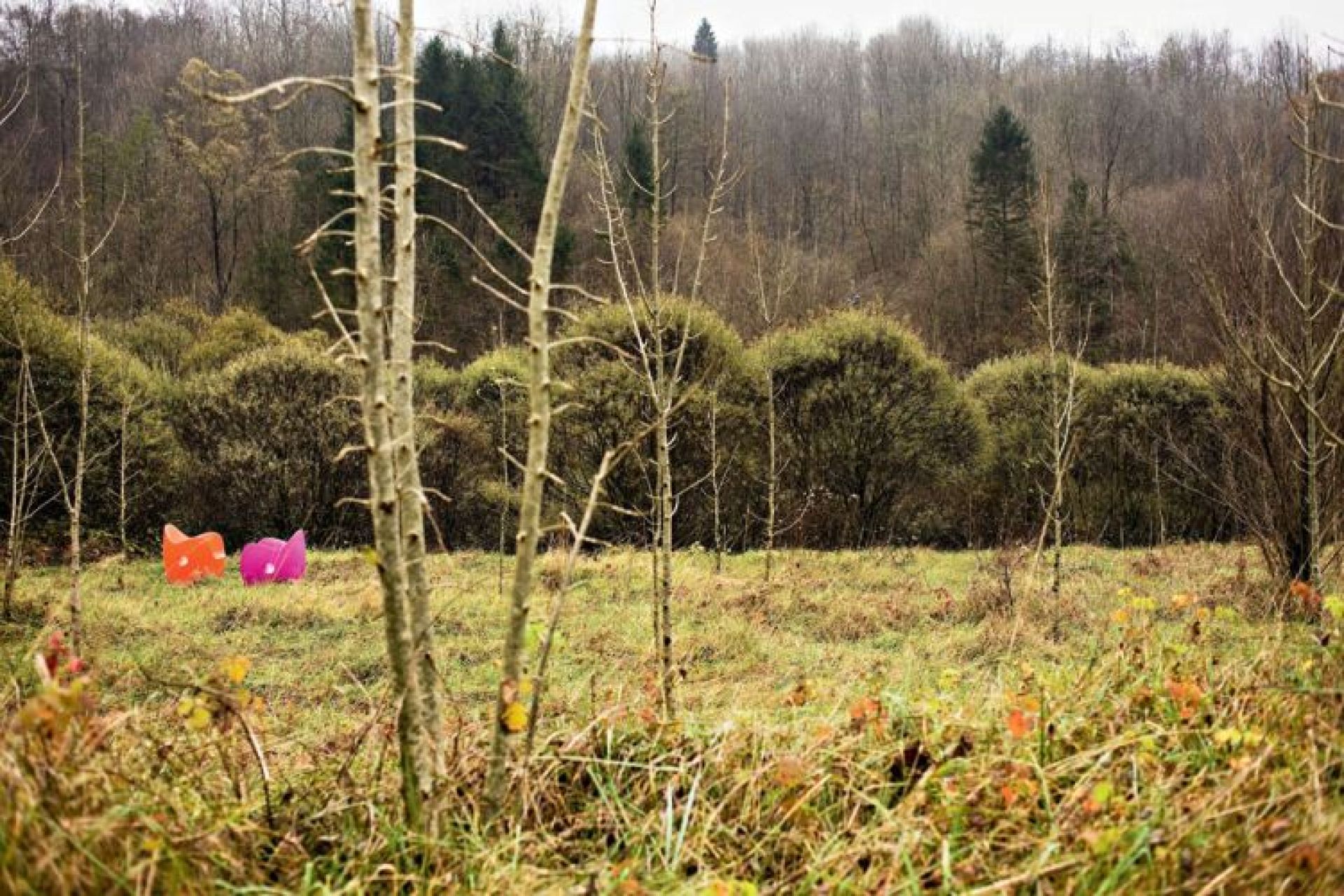 O-Nest Sessel in Rot und Pink im Freien. Design Sessel für Wohnzimmer und Garten.