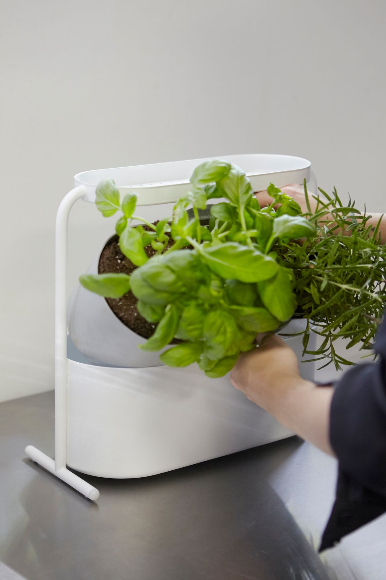 Giardino Planter Kräutertopf Umbra EINZELSTÜCK