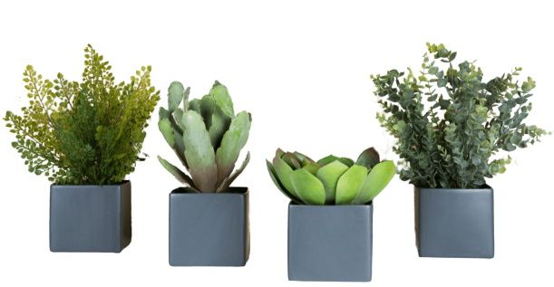 Phoenix Sukkulente Square Pots 4-er Set Grau (Quadratische Töpfe) Kunstpflanze Tanaman 