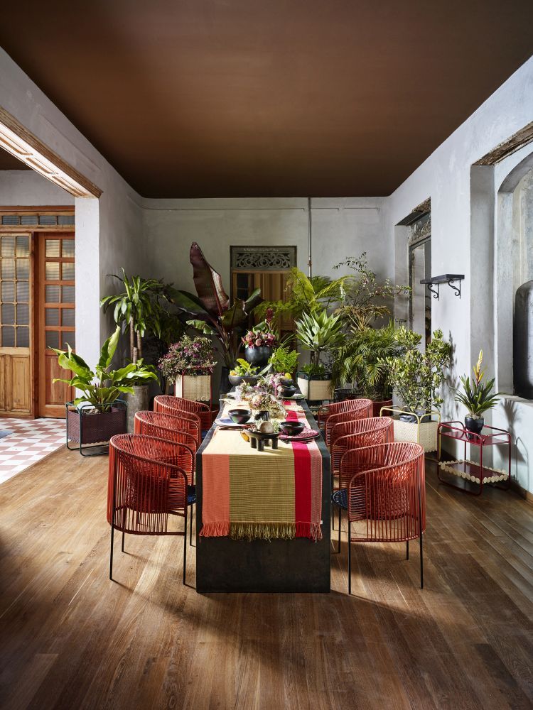 Esszimmer mit Ames Caribe Chic Stühlen, Holzboden und Pflanzen für ein stilvolles Outdoor-Ambiente.