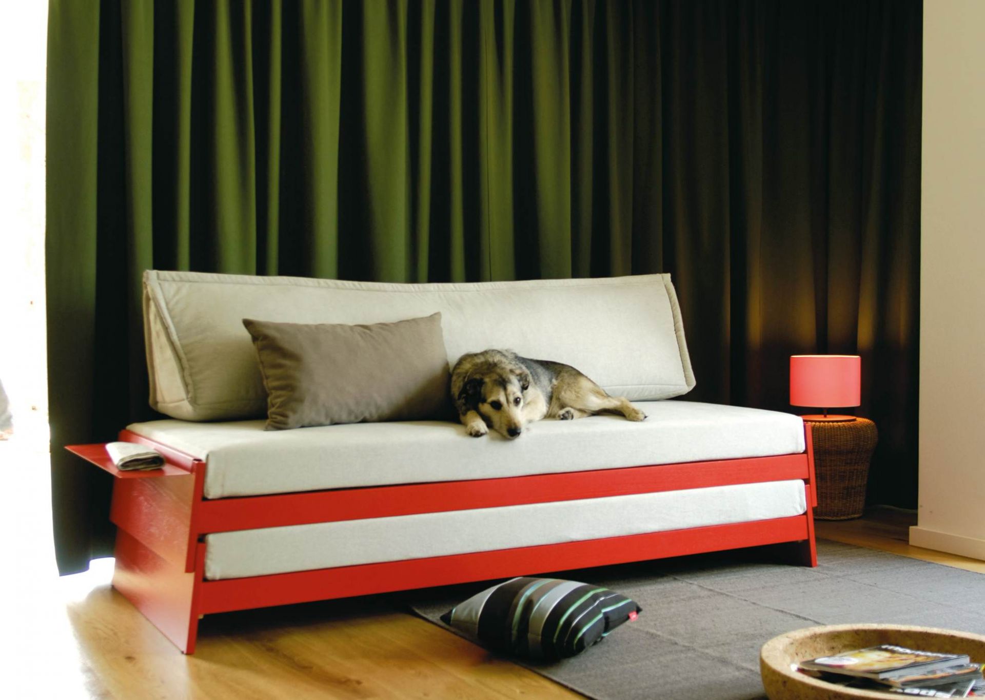 Michel Ablageblech für Lönneberga Stapelbett von Richard Lampert, weiß, mit Hund auf dem Bett.