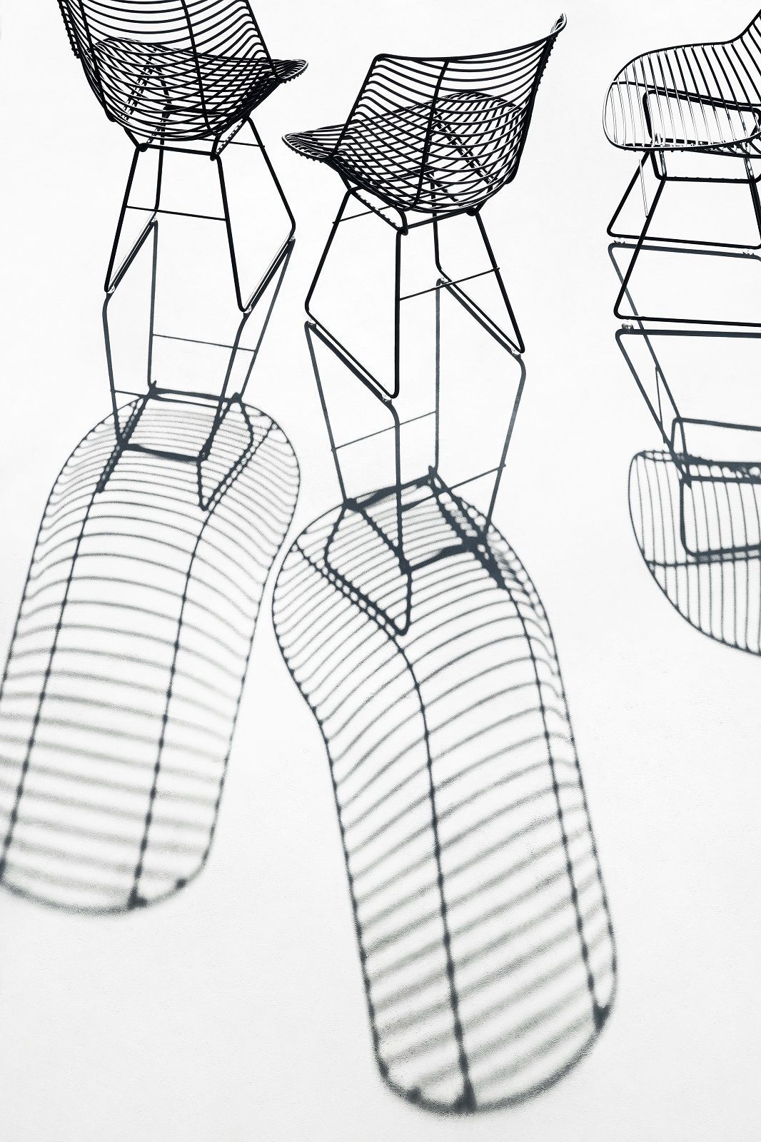 Drei schwarze Flow Filo Stühle von MDF Italia mit filigranem Drahtgestell und Schatten.