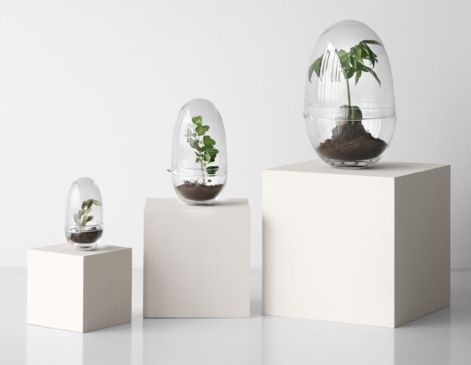 Drei Grow Gewächshäuser von Design House Stockholm in verschiedenen Größen mit Pflanzen.