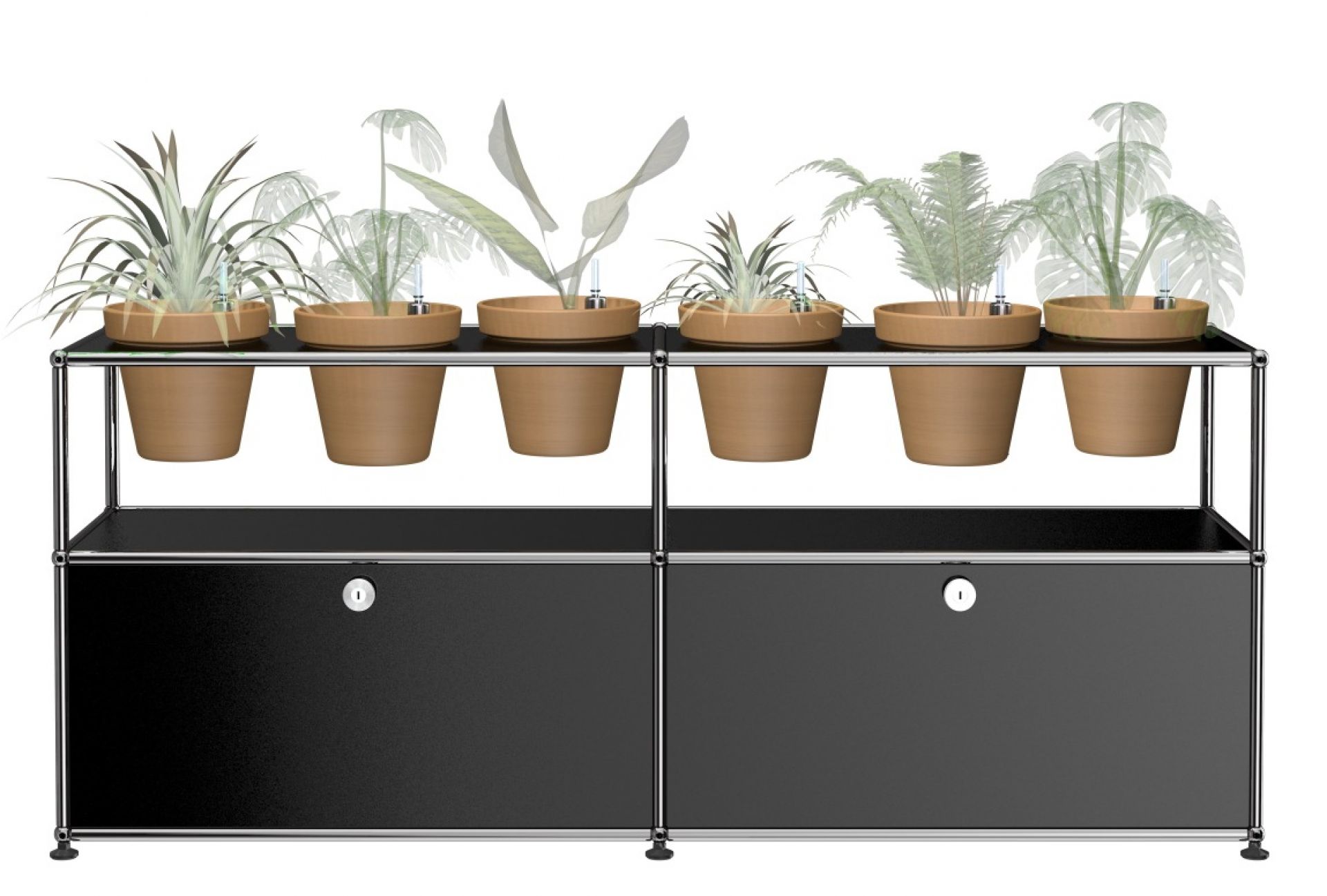 Schwarzes USM Haller Sideboard mit Pflanzenwelten-Konfiguration und sechs Pflanzen in Terrakotta-Töpfen auf der oberen Ebene.