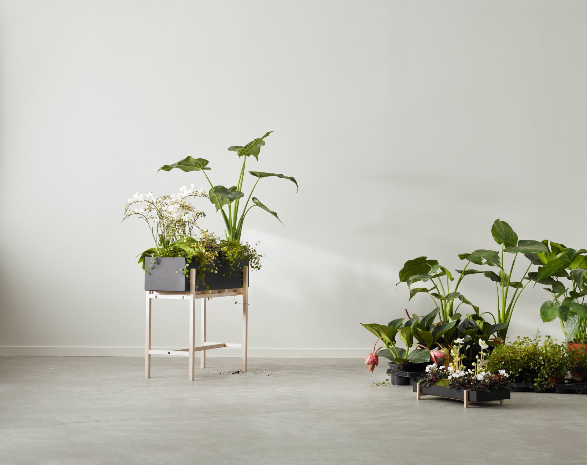 Botanic Flower Stand Blumenkasten Groß Design House Stockholm - EINZELSTÜCKE