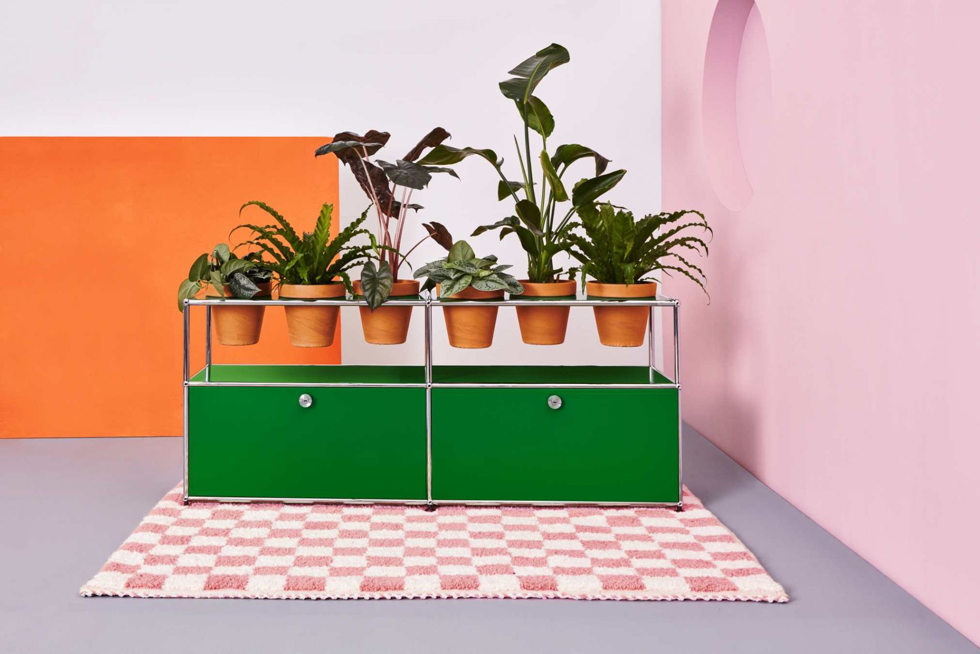 Pflanzenwelten Sideboard mit USM Haller in Enzianblau und Zimmerpflanzen auf einem Teppich.