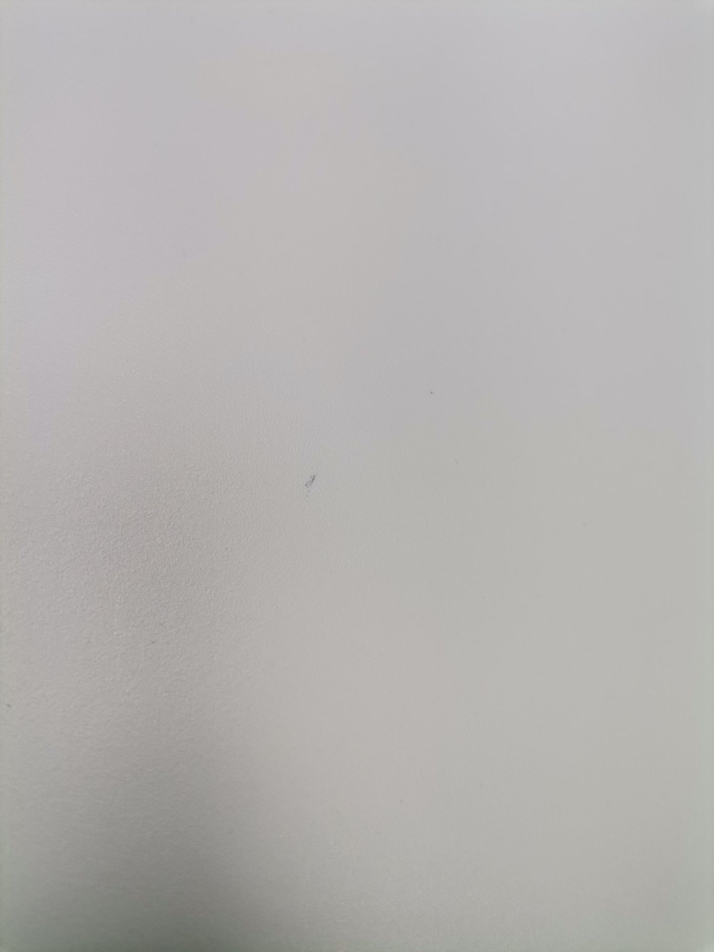 About a Chair AAC12 / AAC 12 Stuhl DUSTY MINT / EICHE GESEIFT Hay 2-er Set MÄNGELEXEMPLAR  