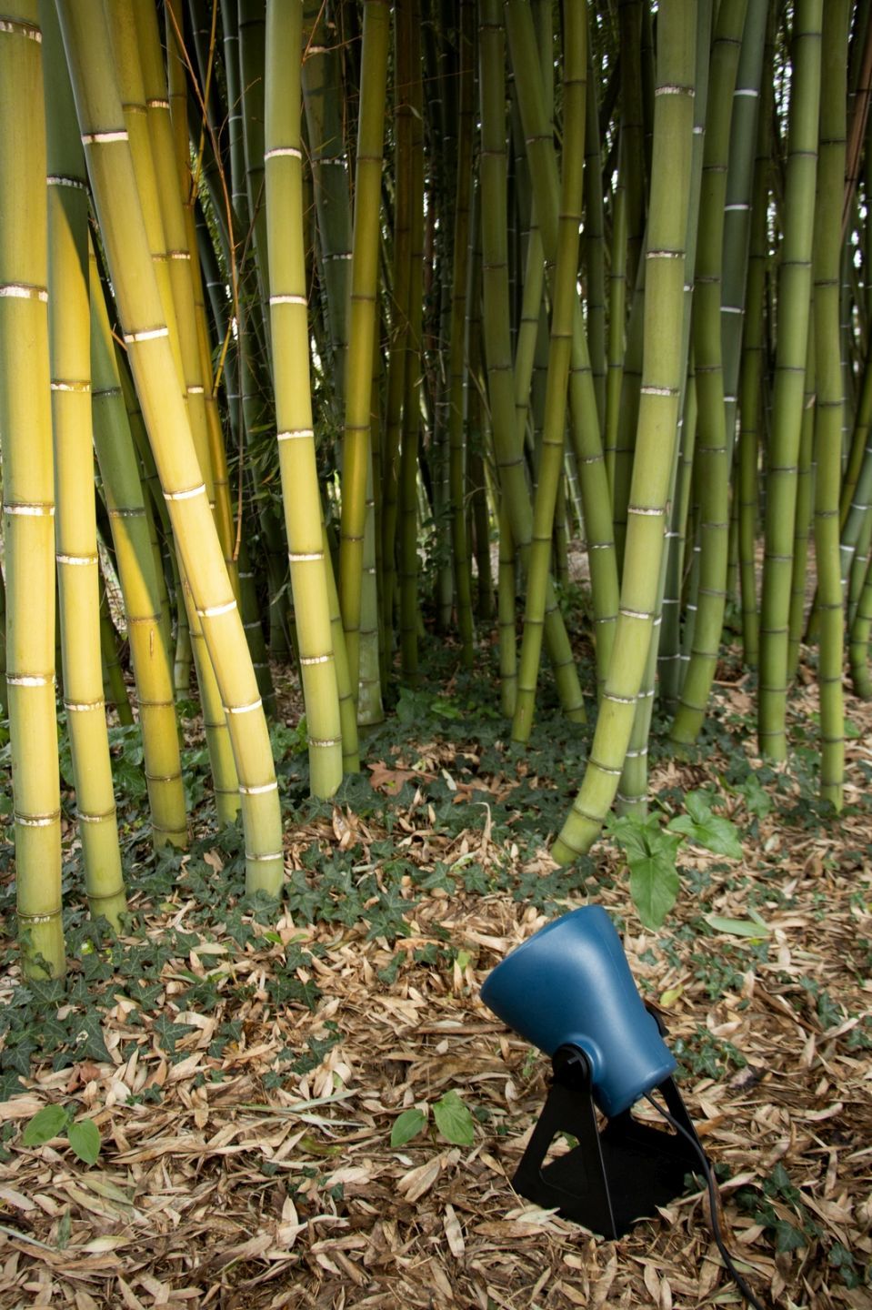 Mini Frog Outdoor Leuchte Gelb Martinelli Luce