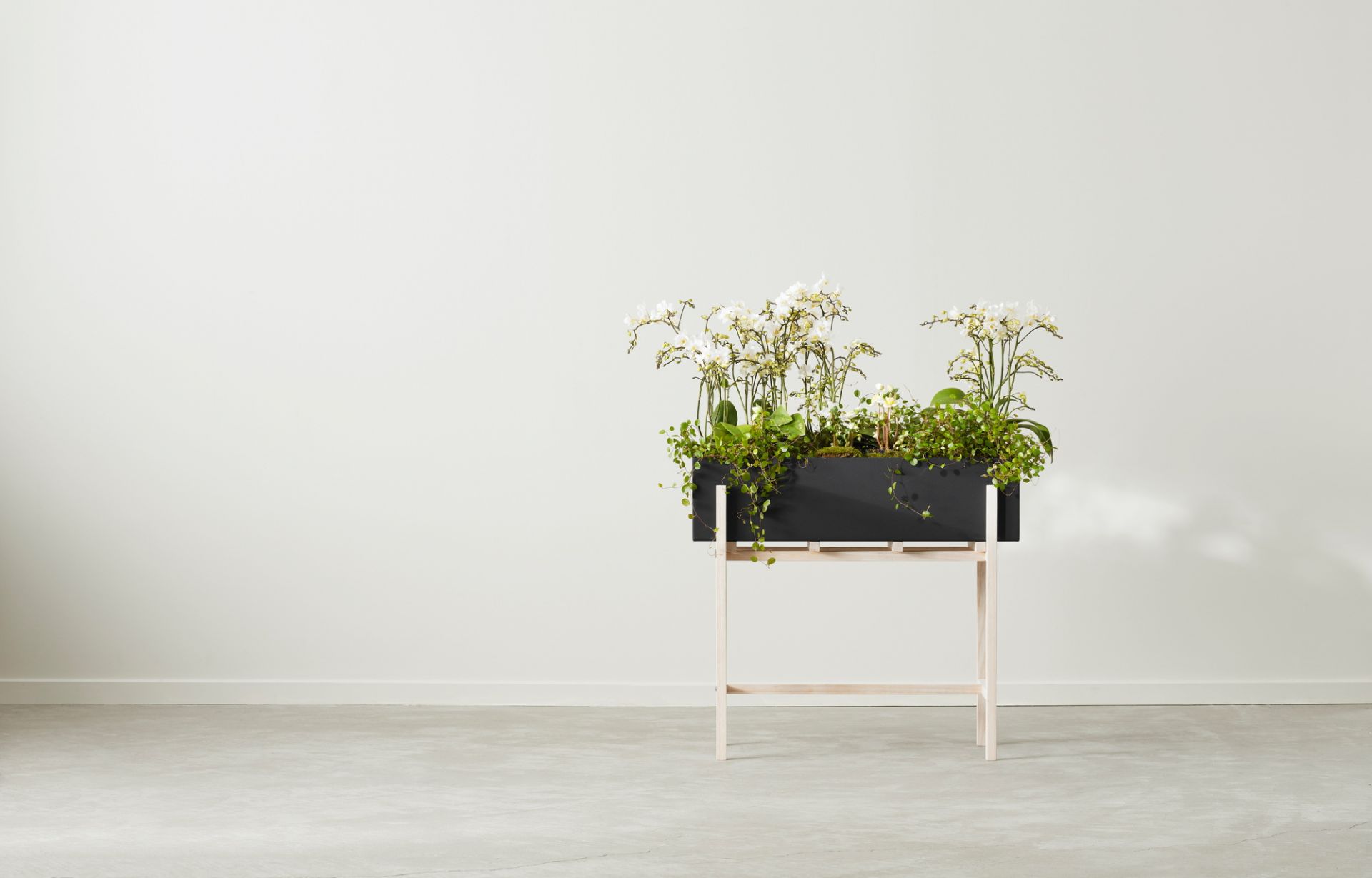 Botanic Flower Stand Blumenkasten Groß Design House Stockholm - EINZELSTÜCKE