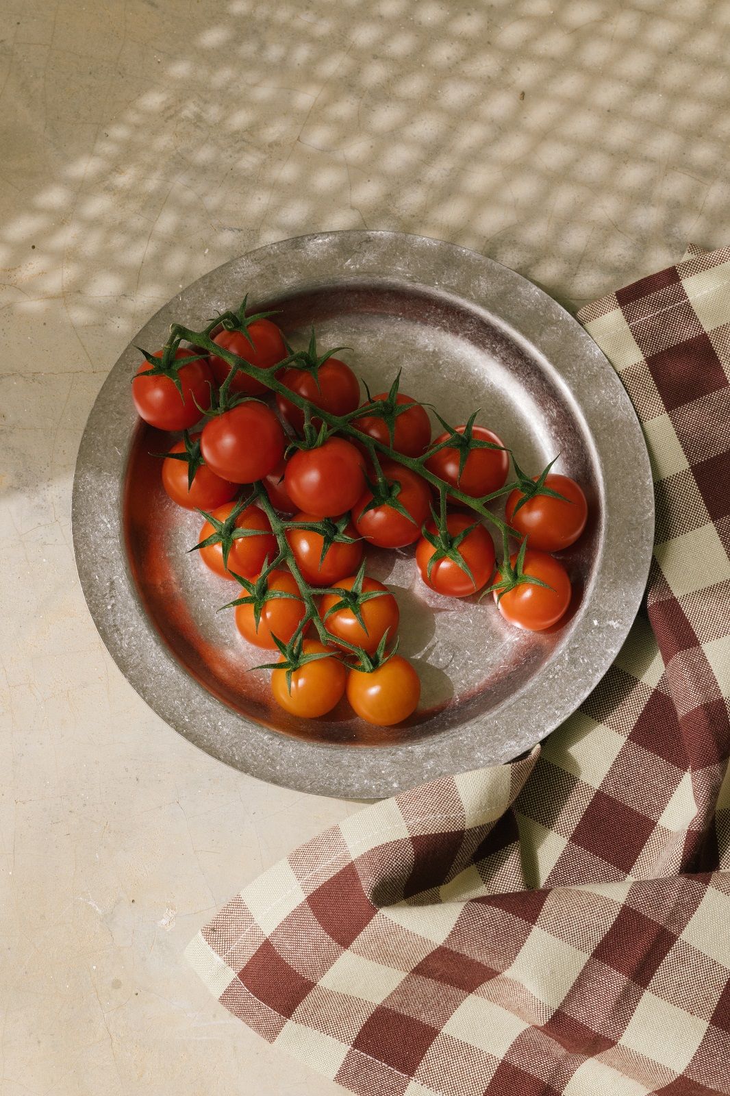Ferm Living Tumbled Plate Campingteller mit Tomaten und kariertem Tuch, ideal für Picknick und Camping.