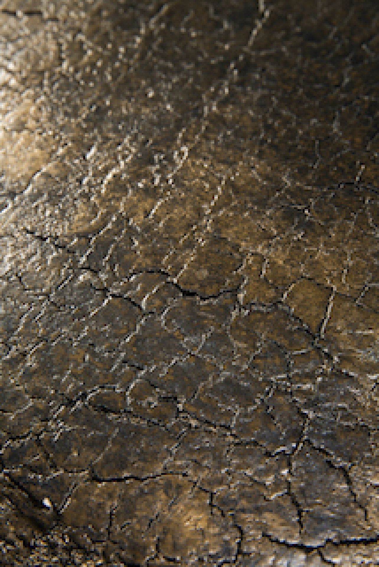 Detailaufnahme: Textur des Luna Couchtischs von Ethnicraft in Lava Whisky Optik. Couchtisch, Holztisch.