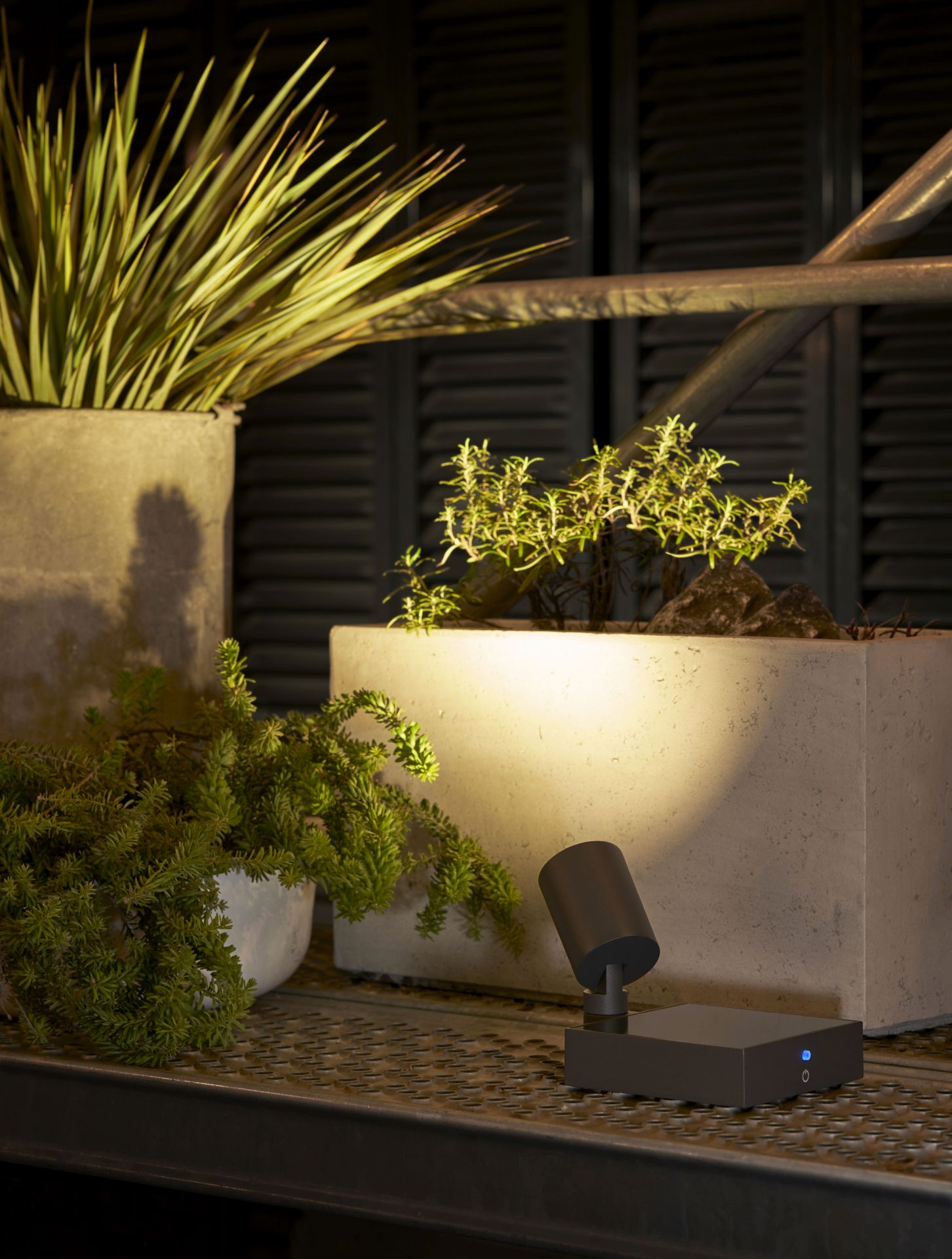 Spot.E Solar-Gartenstrahler von Moree beleuchtet Pflanzen in Töpfen, moderne Gartenbeleuchtung für stimmungsvolles Ambiente.