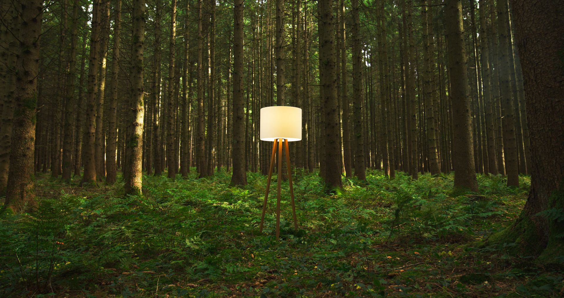Luca Stand Stehleuchte mit Eichenholz-Gestell und weißem Lampenschirm im Wald, modernes Design für Wohnzimmer.