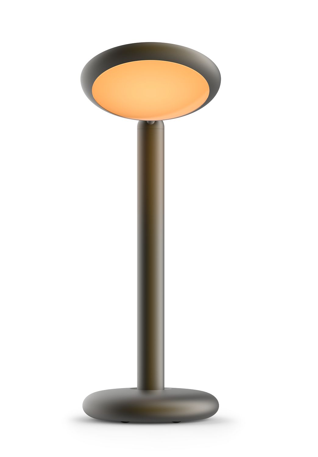 Parrot Table lamp Tischleuchte Grau