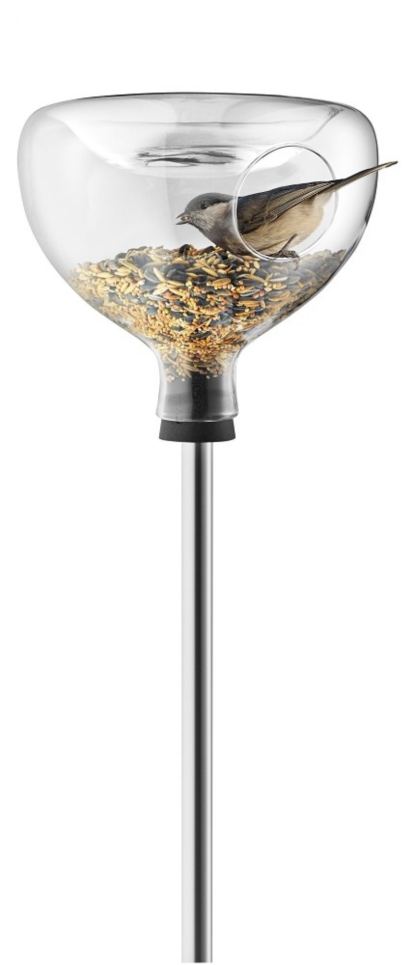 Glass Bird feeder mit Vogel im Futterhaus. Gartendeko und Vogelbad für Wildvögel.