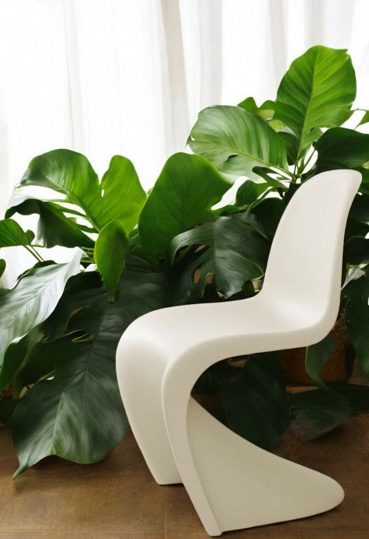 Beiger Panton Chair von Vitra, neue Höhe, vor grünen Pflanzen. Designklassiker Kunststoffstuhl.