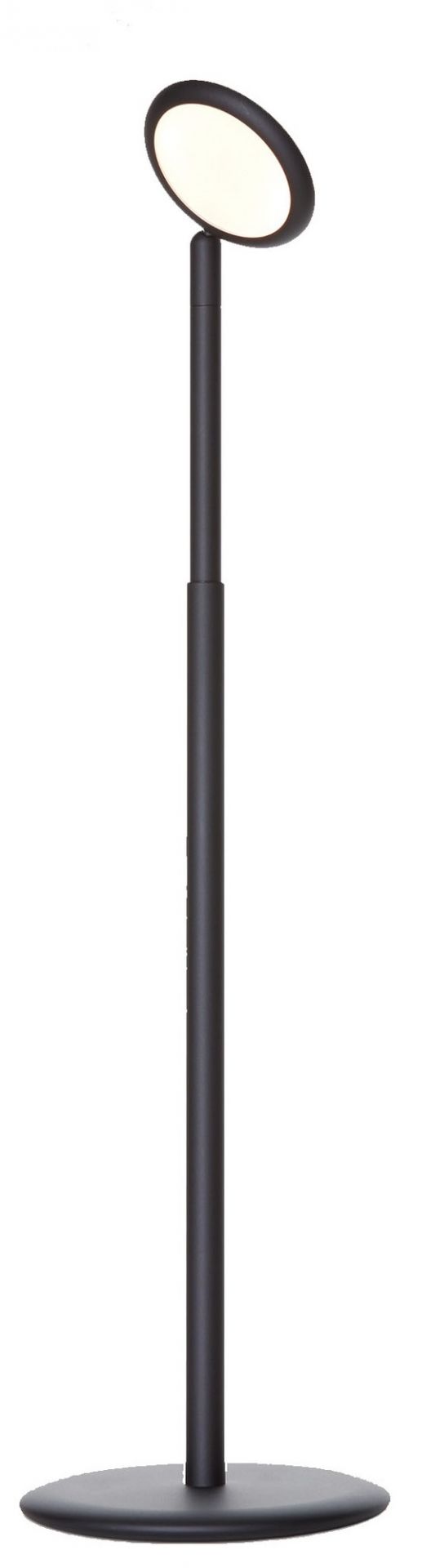 Graue Stehleuchte, Modell Parrot, mit rundem Lampenschirm und schlankem, modernem Design.