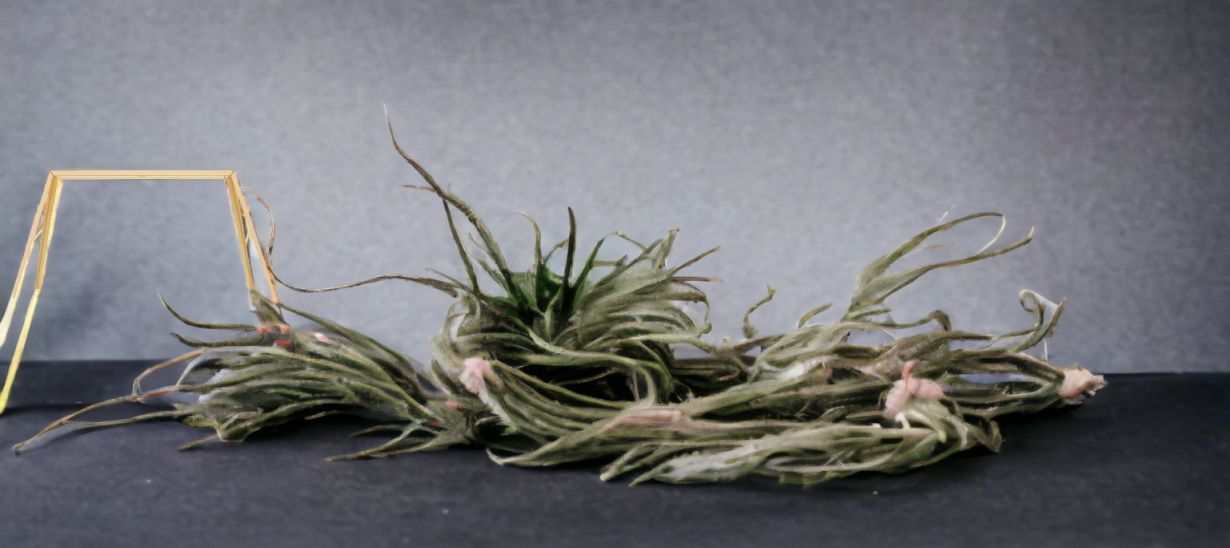 Bridge 1 Tischleuchte von Foscarini: Nahaufnahme der Messing-Tischleuchte mit filigranem Design und warmem Licht.