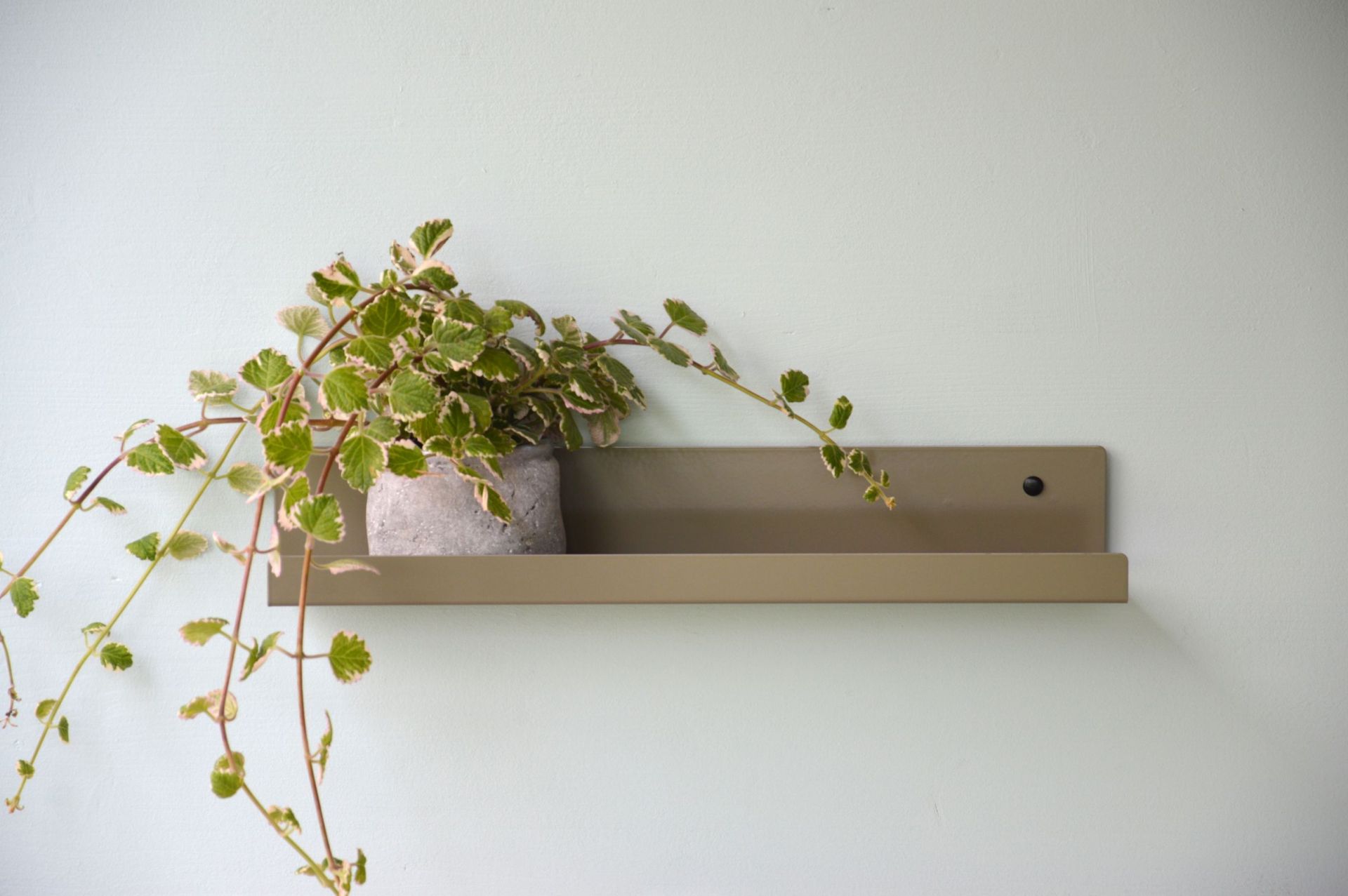 Jill Wandregal von Jan Kurtz, schwarz, 80 cm, mit Topfpflanze an hellblauer Wand.