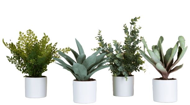 Phoenix Sukkulente Cylindrical Pots 4-er Set Weiß (Flaschentöpfe) Kunstpflanze Tanaman   