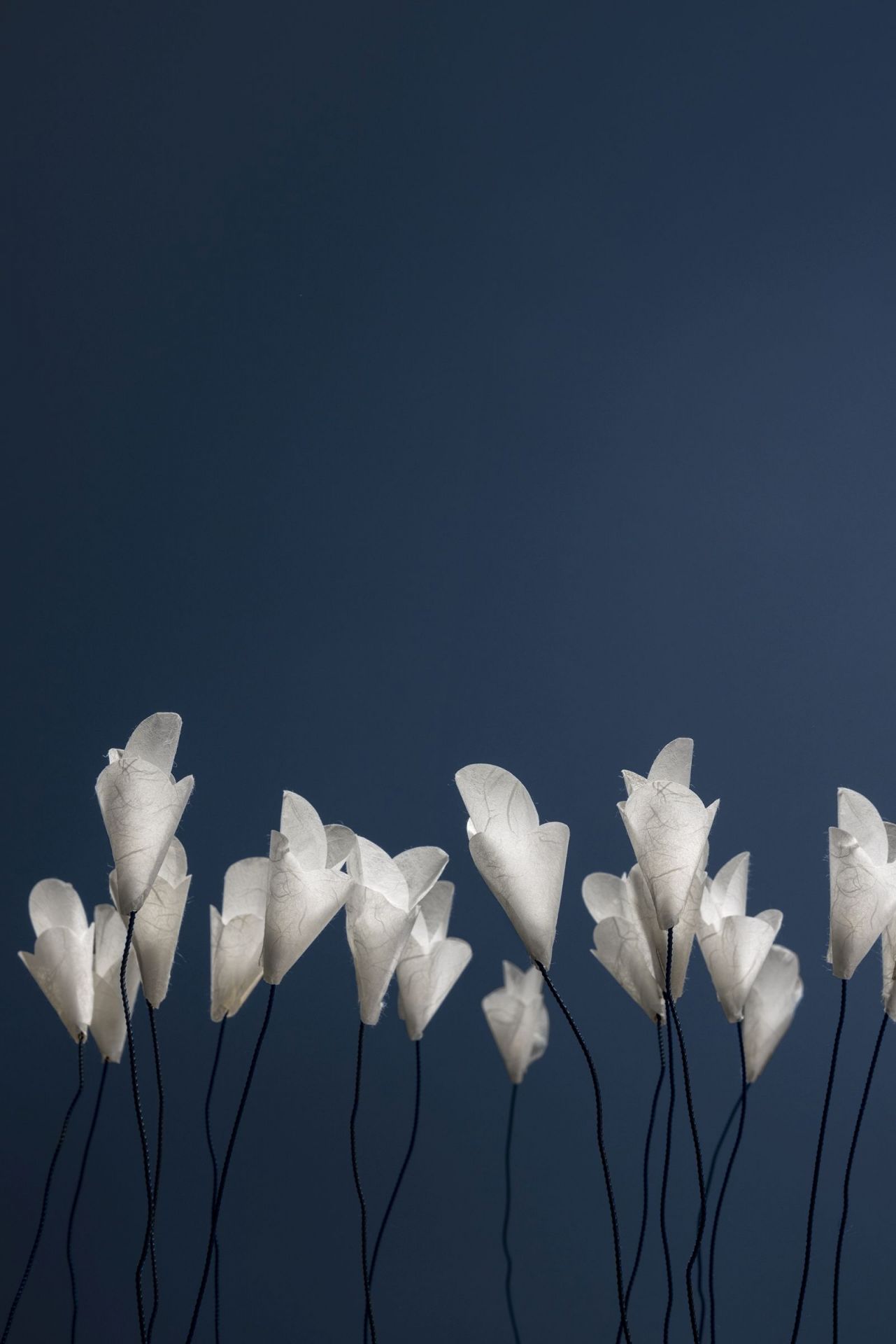 Nahaufnahme der For You Tischleuchte von Catellani & Smith, weiße Blütenform, modernes Design.