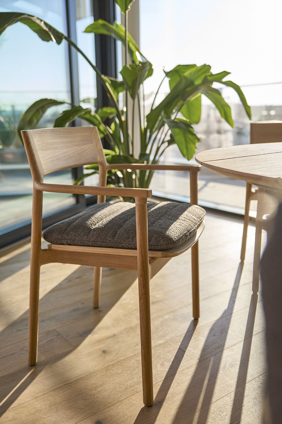 Teva Sessel Weishäupl