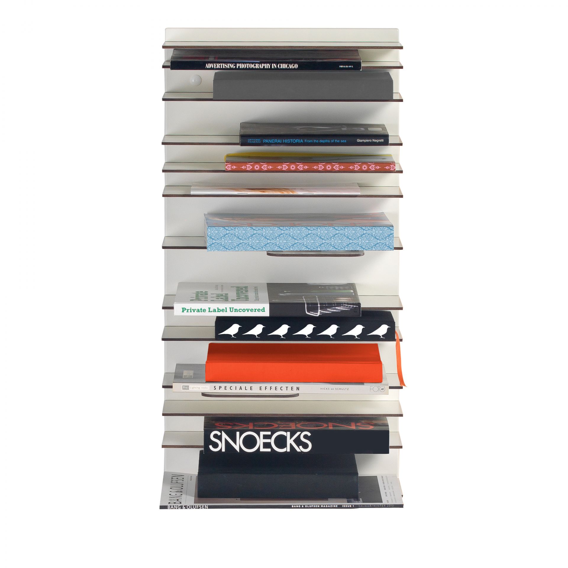 Weißes Bücherregal mit Büchern, Paperback Bücherregal, Wandregal, Bücherregal weiß, 60x60 cm, moderne Möbel.