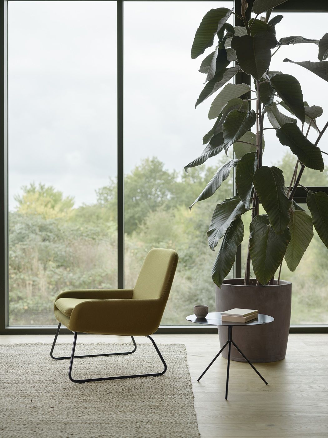 COCO Chair Sessel Softline