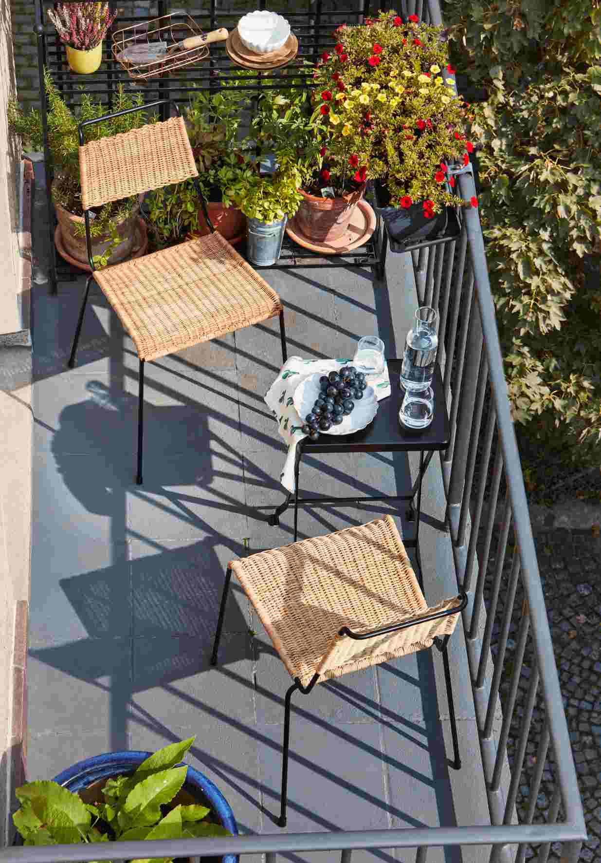 Zwei Richard Lampert Stühle TT 54 mit Rattan-Sitzfläche auf einem sonnigen Balkon. Design Stuhl.