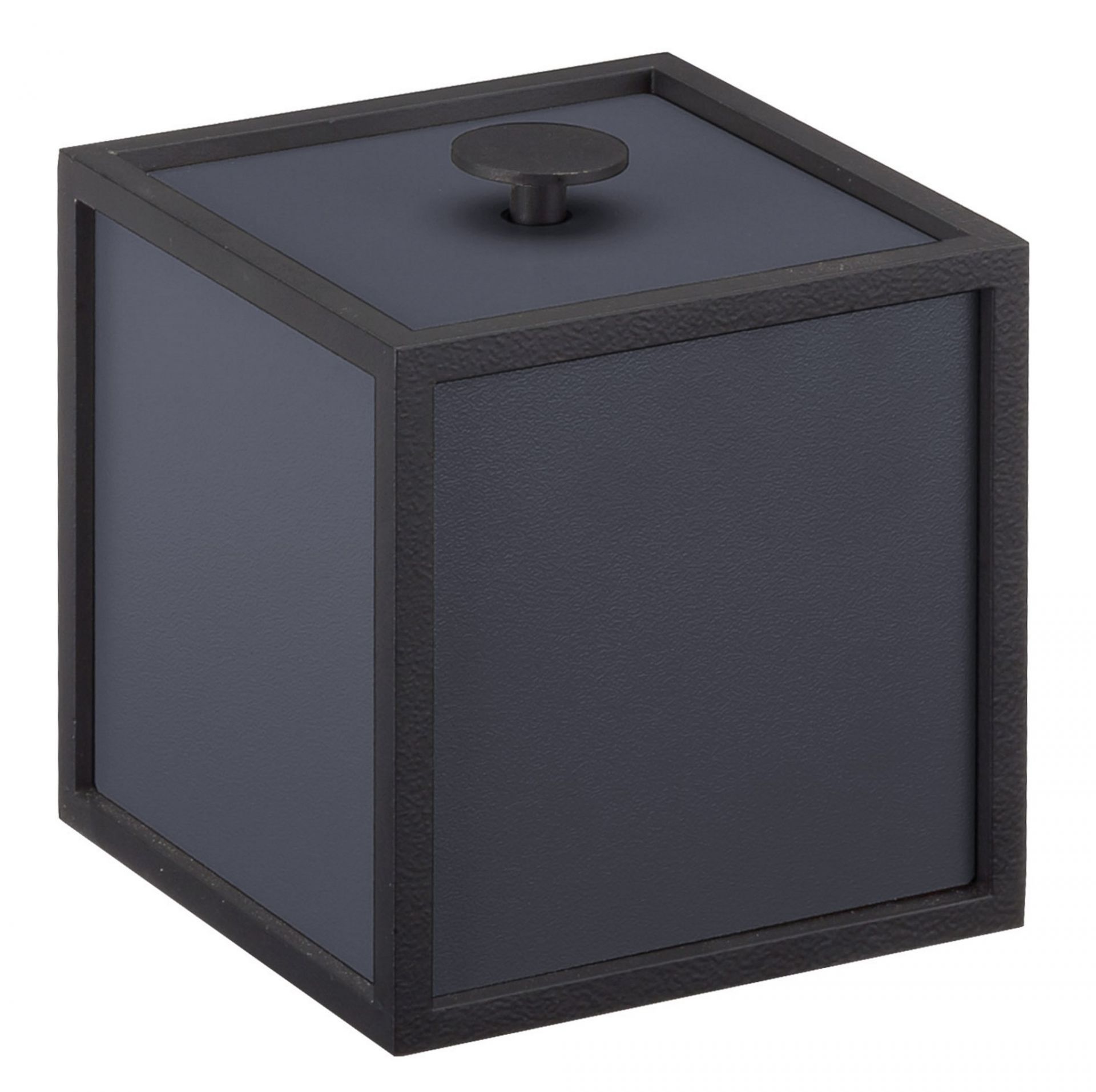 Frame 10 Aufbewahrungsbox EICHE Audo EINZELSTÜCK