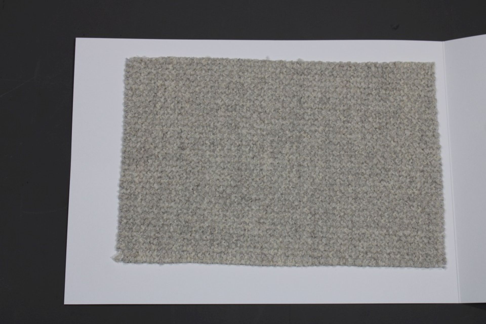 Stoffmusterkarte Gruppe 82 Cor: Nahaufnahme eines grauen, gewebten Möbelstoffs für Polster.