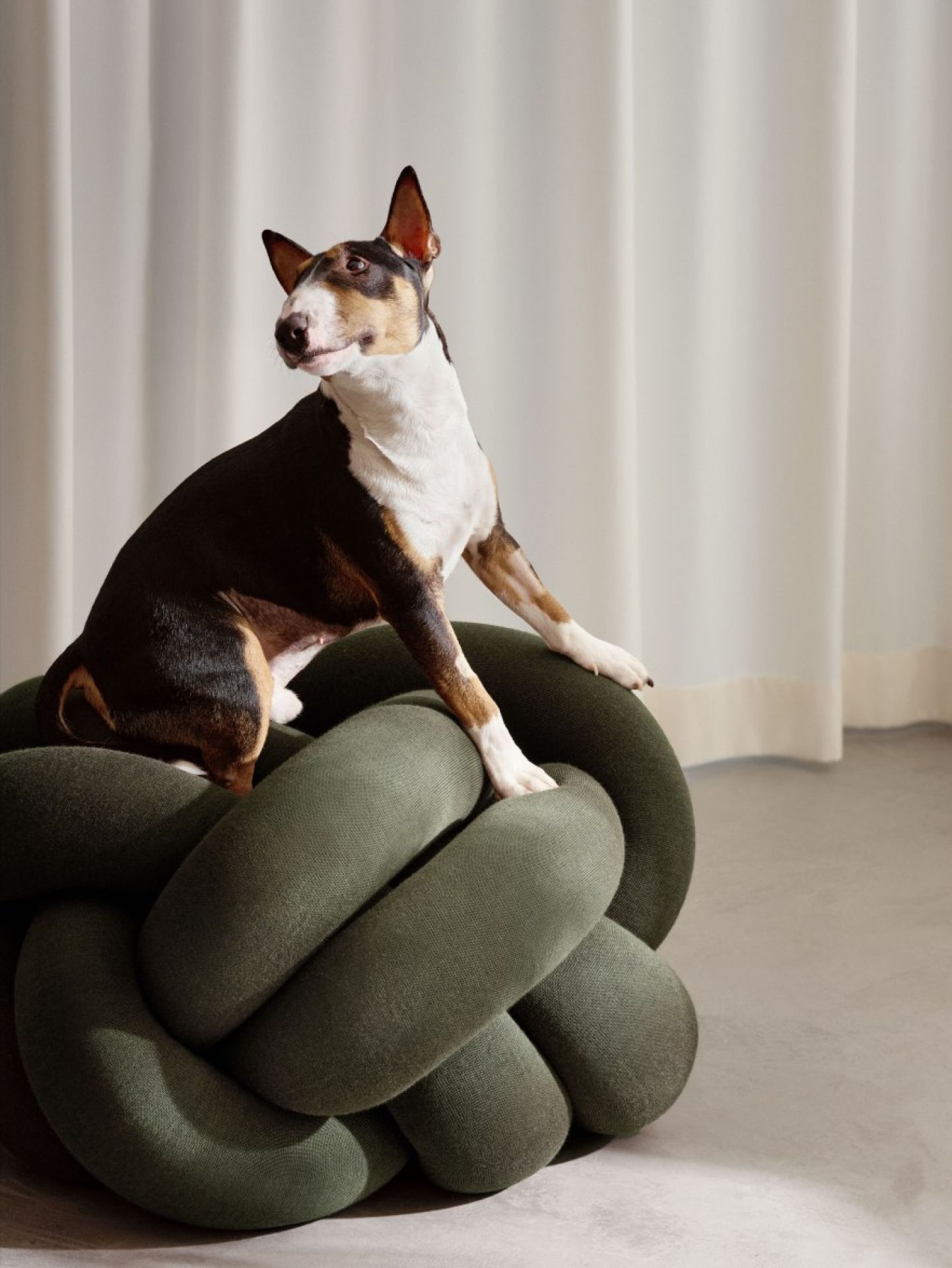 Hund sitzt auf dem grünen Knot XL Sitzkissen von Design House Stockholm.