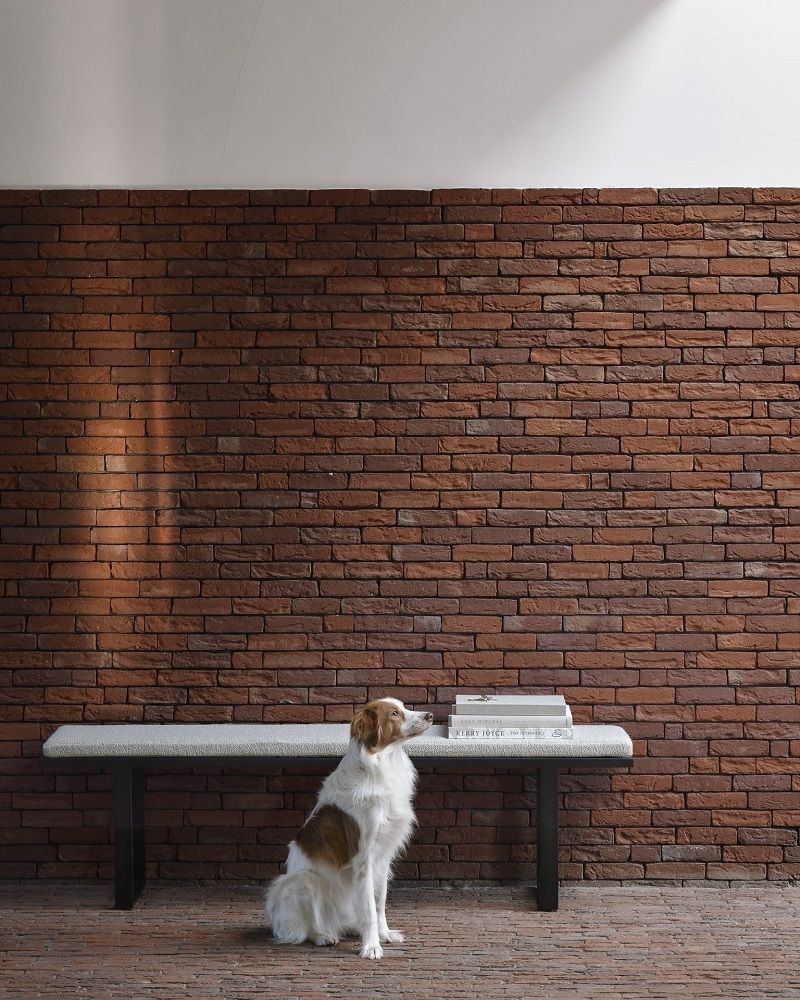 Ethnicraft Stability Bank mit Stoffbezug und Hund vor einer Backsteinwand.