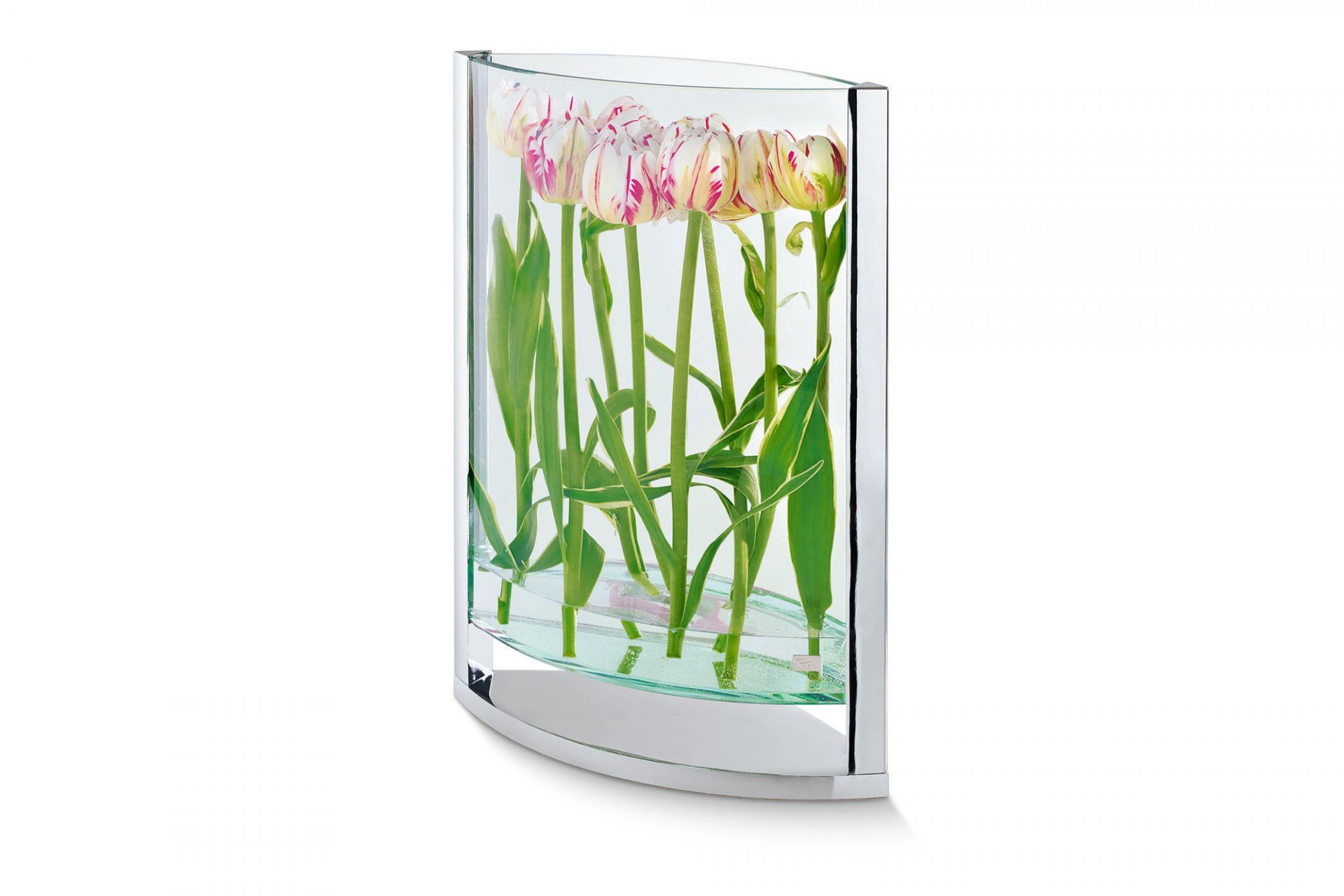 Decade Vase von Philippi mit Tulpen, moderne Glasvase für Blumen und Dekoration.