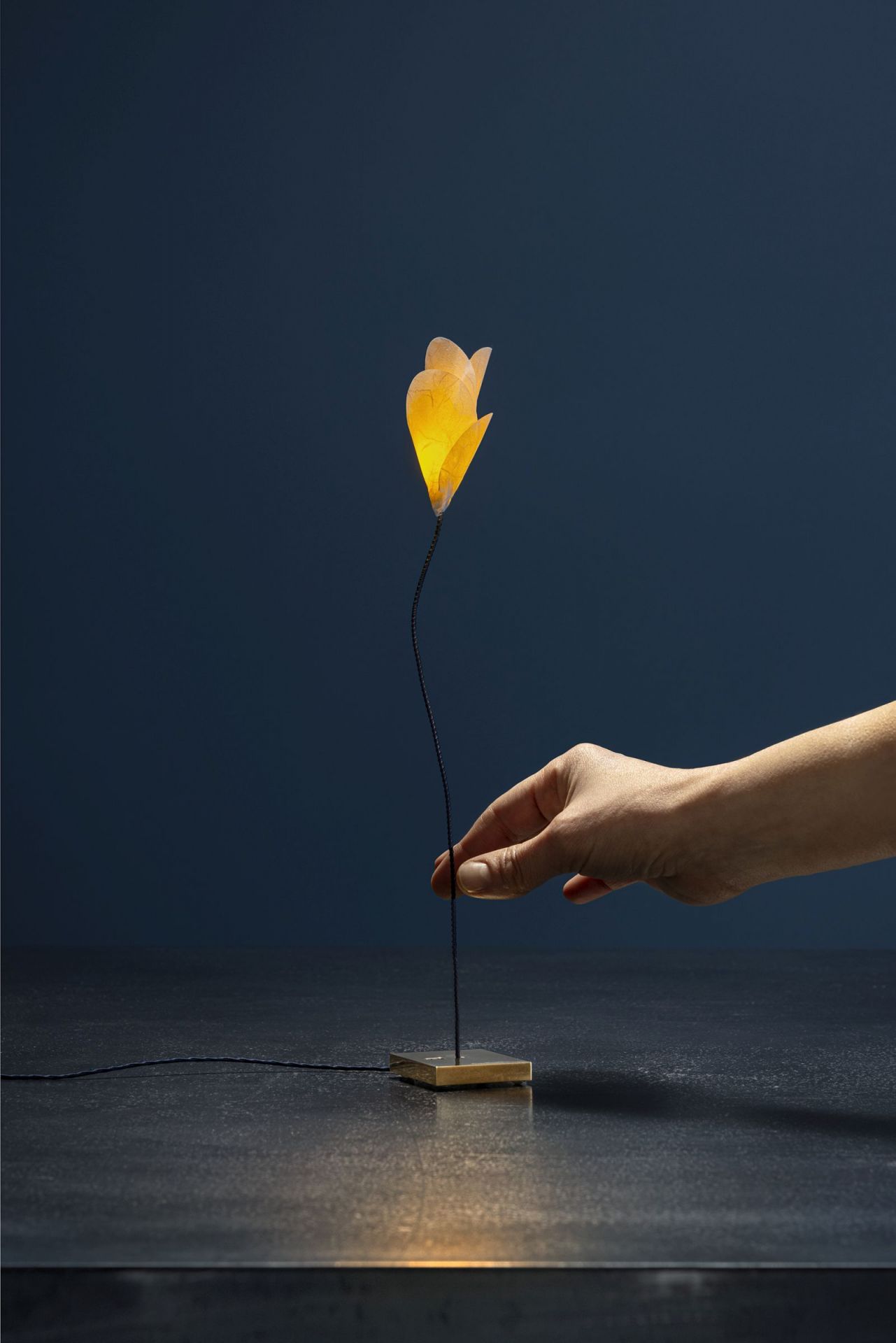 Nahaufnahme der For You Tischleuchte von Catellani & Smith, blütenförmige Designlampe.