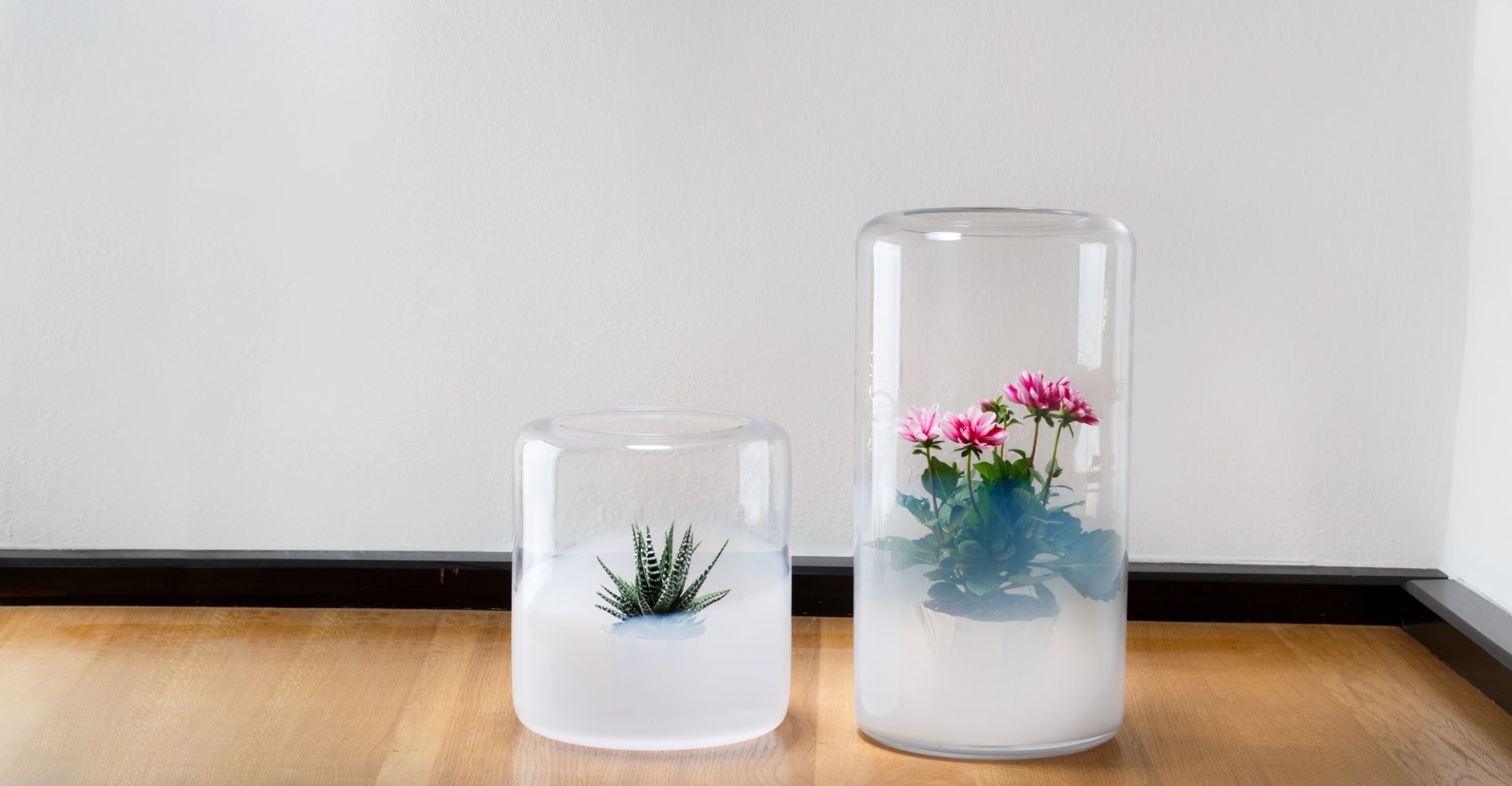 Zwei Glasvasen, inklusive Glasgow Vase, mit Sukkulente und rosa Blumen auf einem Holzboden.