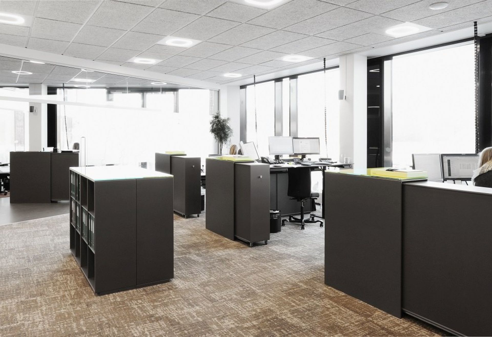 Cargo Modul 80 Schrank-System Montana