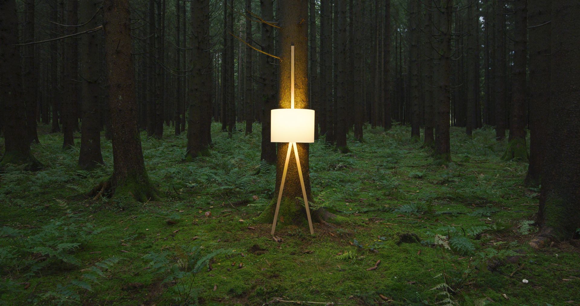 Luca Lean Anlehnleuchte von Maigrau im Wald. Moderne Stehleuchte aus Eiche geräuchert und bronzegrau.