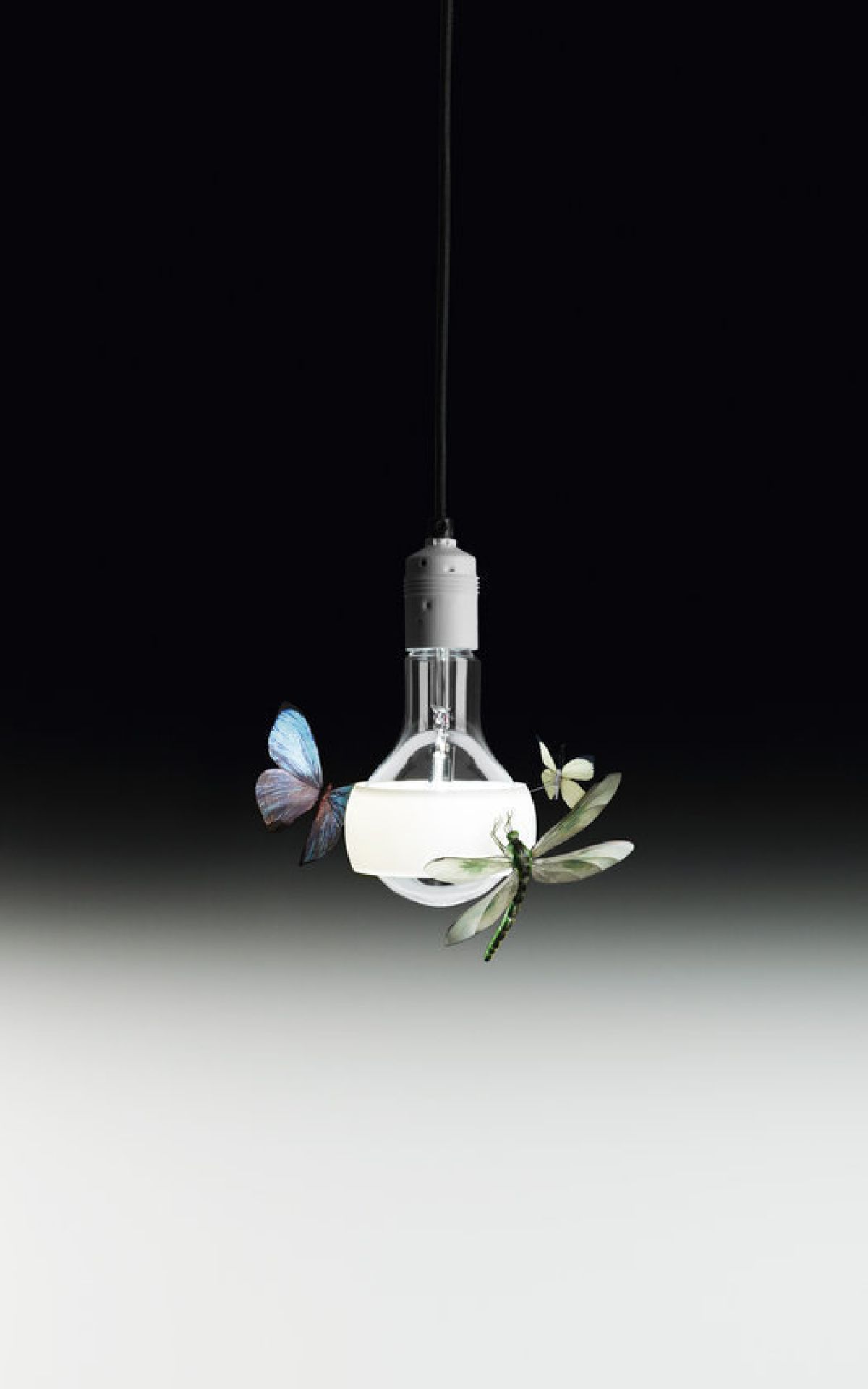 Johnny B. Hängeleuchte: Glühbirne mit Schmetterlingen und Libelle, dekorative Designerlampe für Wohnräume.