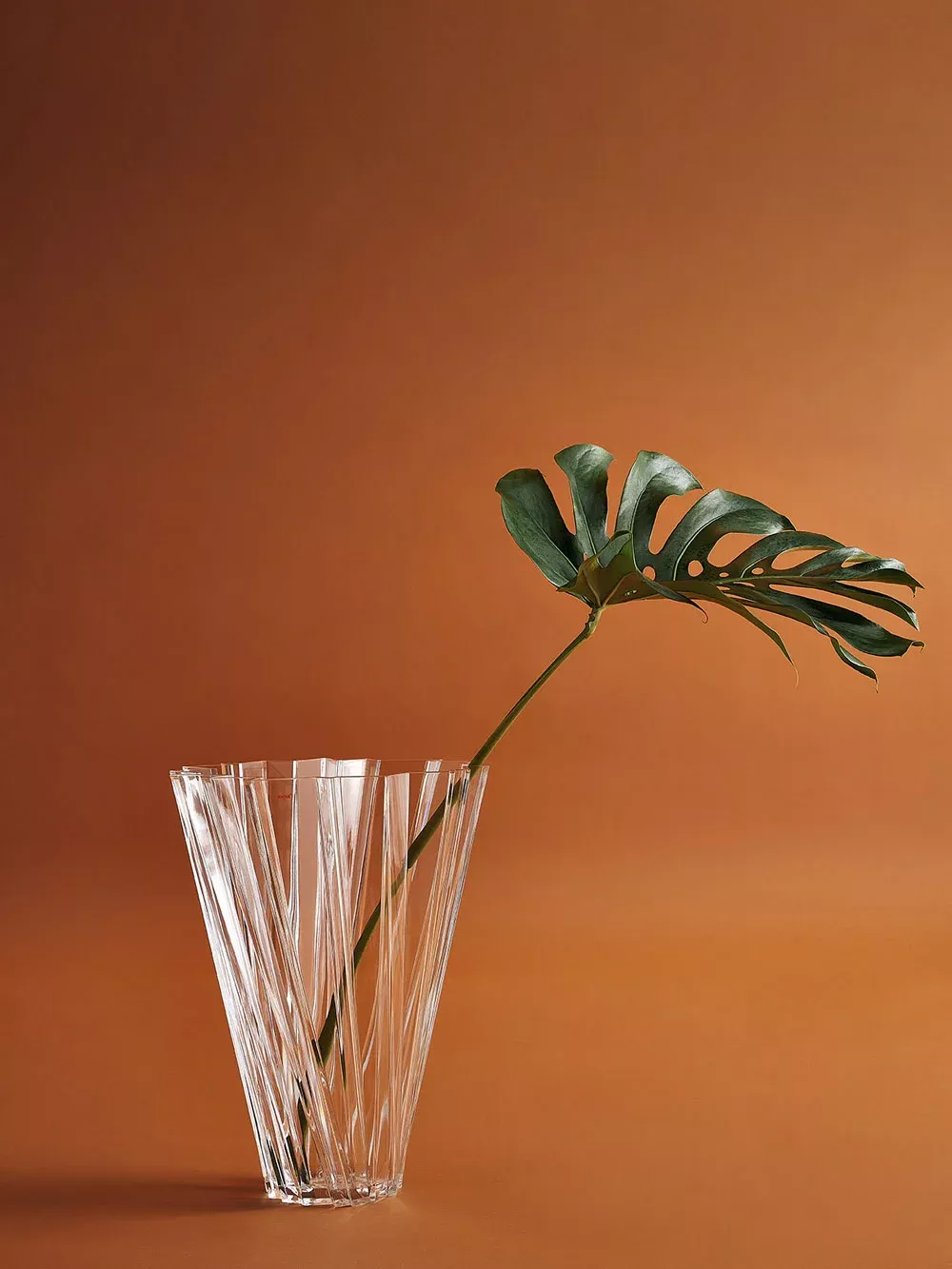 Shanghai Vase von Kartell, klare Design-Vase mit Monstera-Blatt vor braunem Hintergrund.