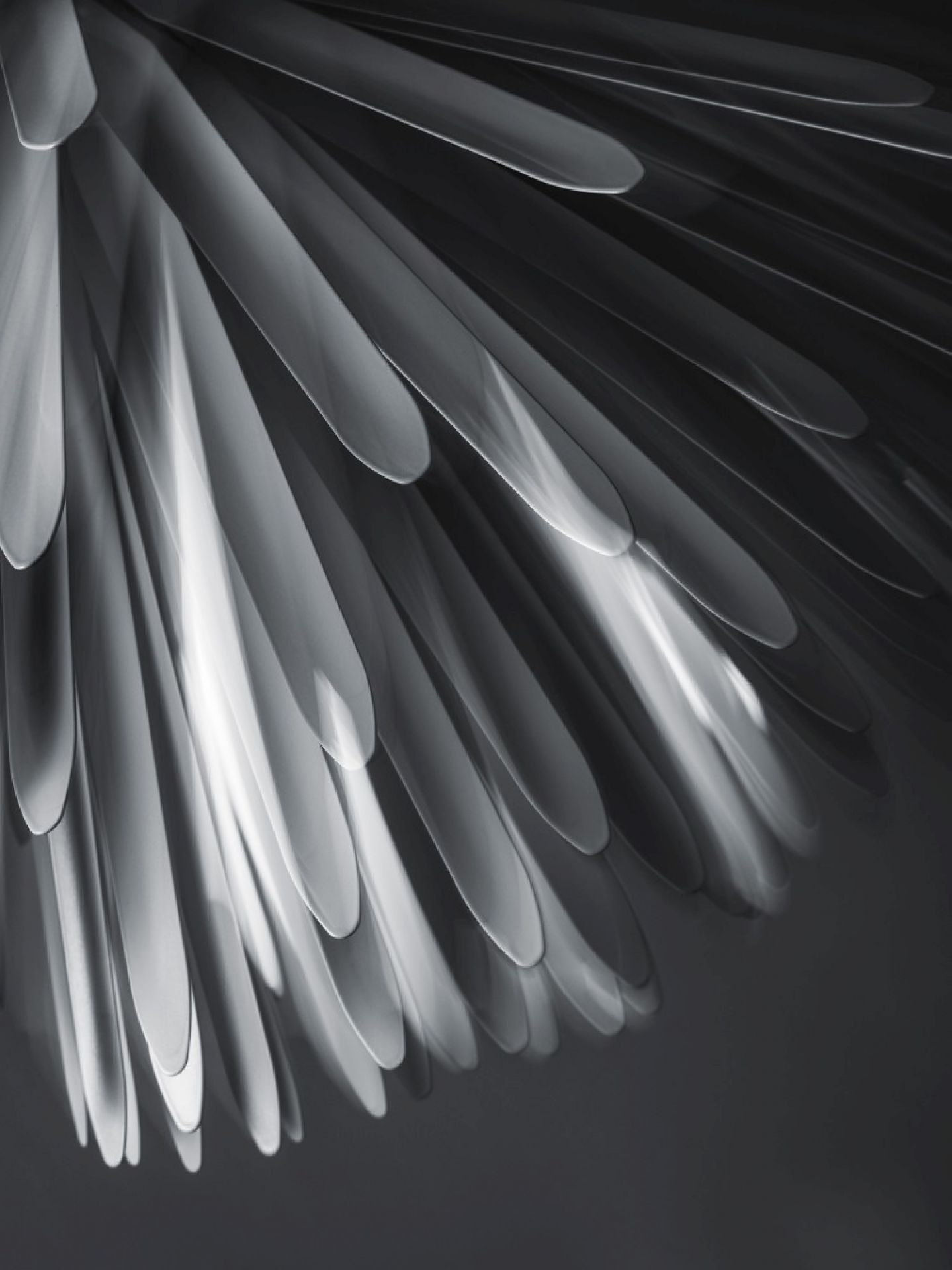 Detailaufnahme der Sun Light of Love Pendelleuchte von Foscarini, moderne LED Lampe.