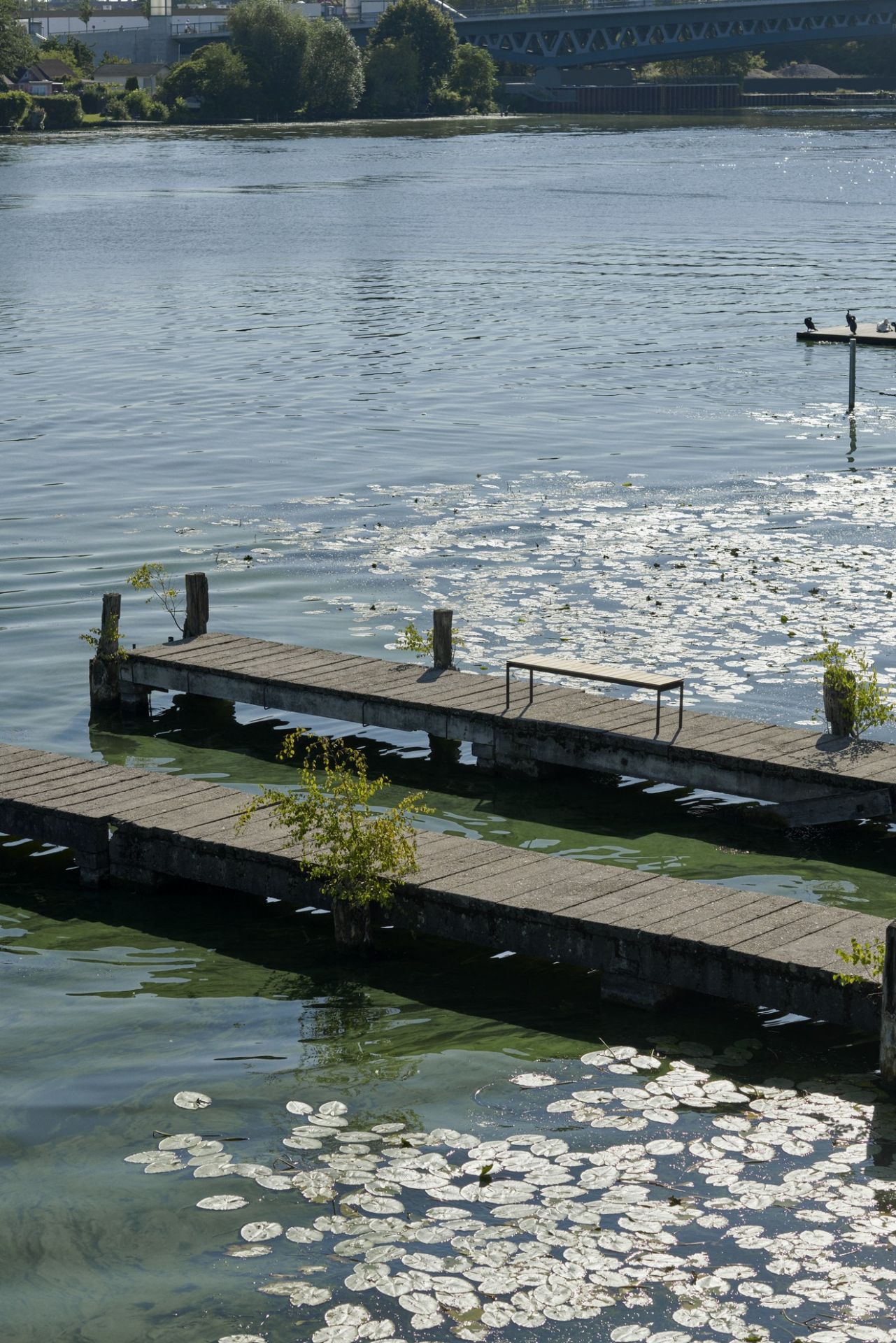 AndTradition Ville Bank AV28 für den Außenbereich auf einem Steg am See mit Seerosen.