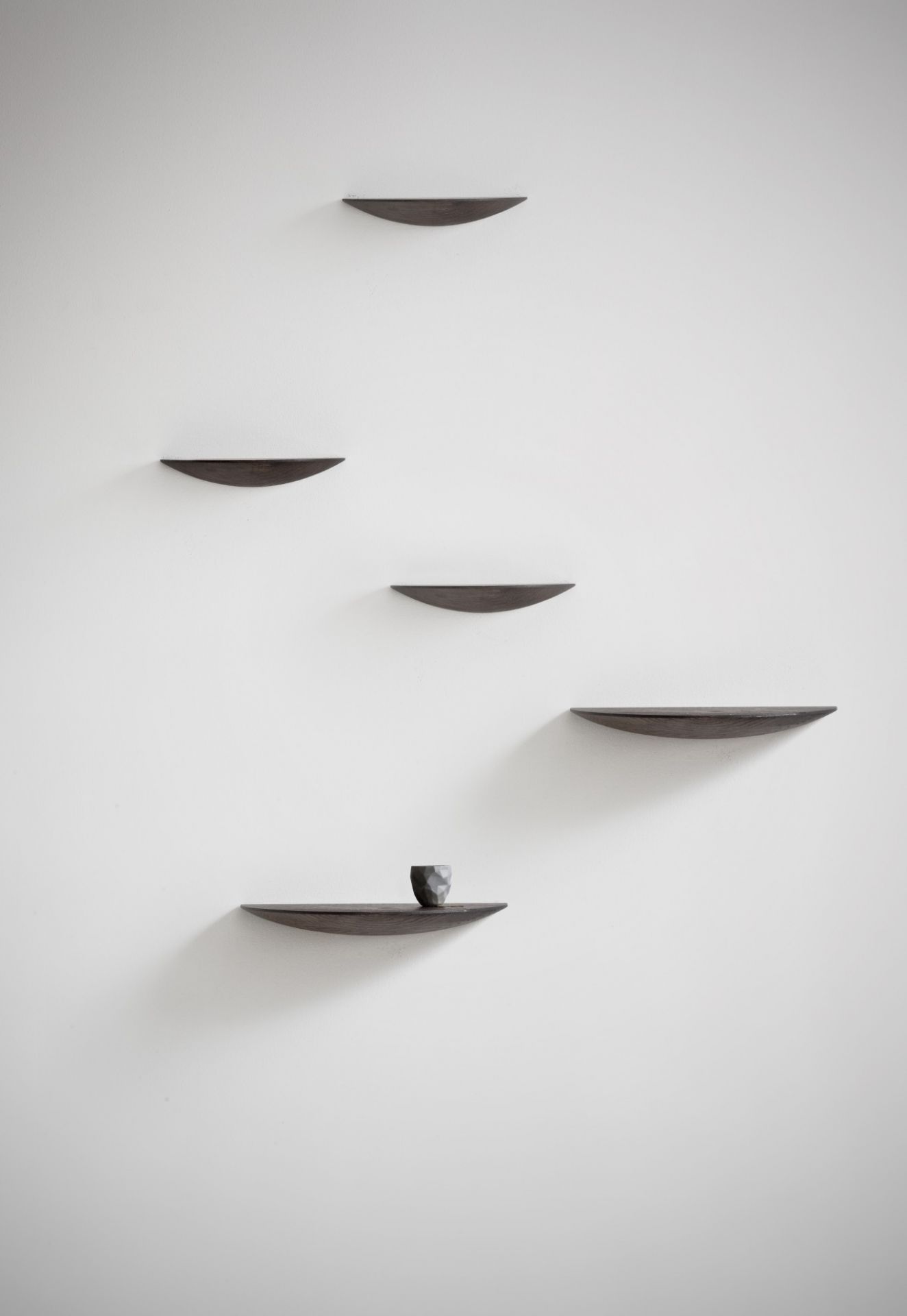 Gridy Fungi Regal, Medium, aus dunkel gebeizter Eiche, an einer weißen Wand montiert.