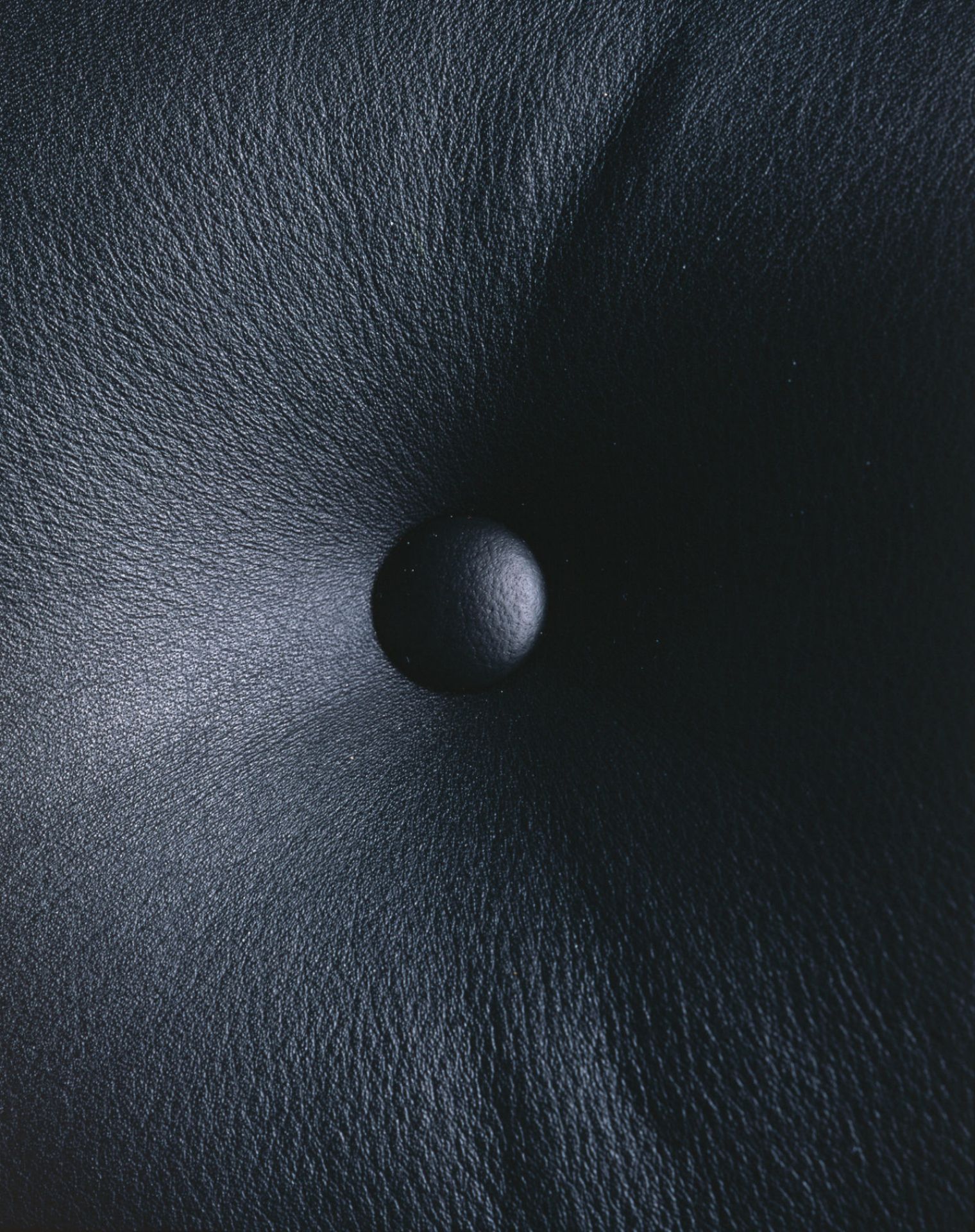 Detailaufnahme: Schwarzes Leder mit Knopf des Vitra Lobby Chair ES104 Stuhls.