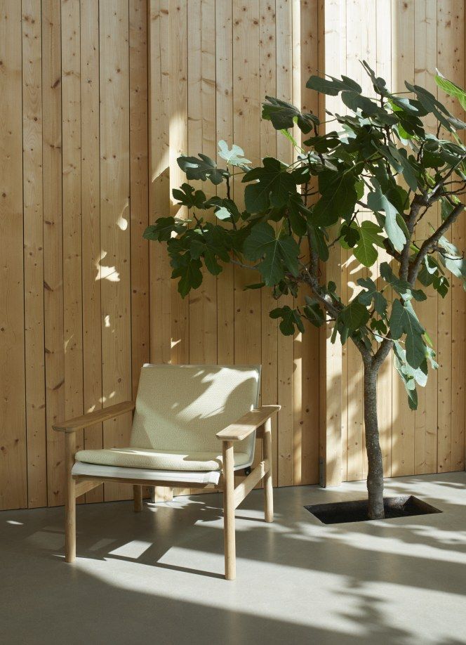 Pelagus Sessel von Skagerak: Moderner Lounge Chair aus Holz mit hellen Polstern neben einem Baum.