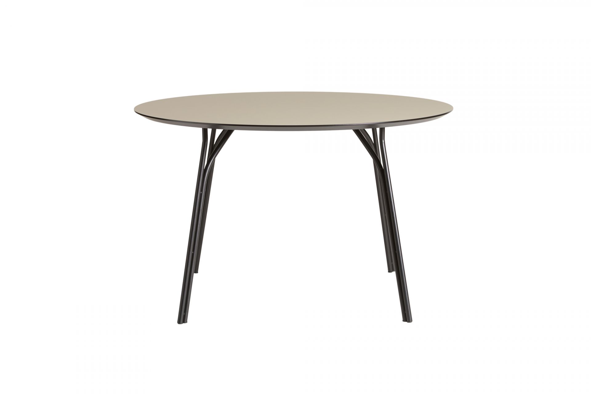 Tree Esstisch Ø120 Woud