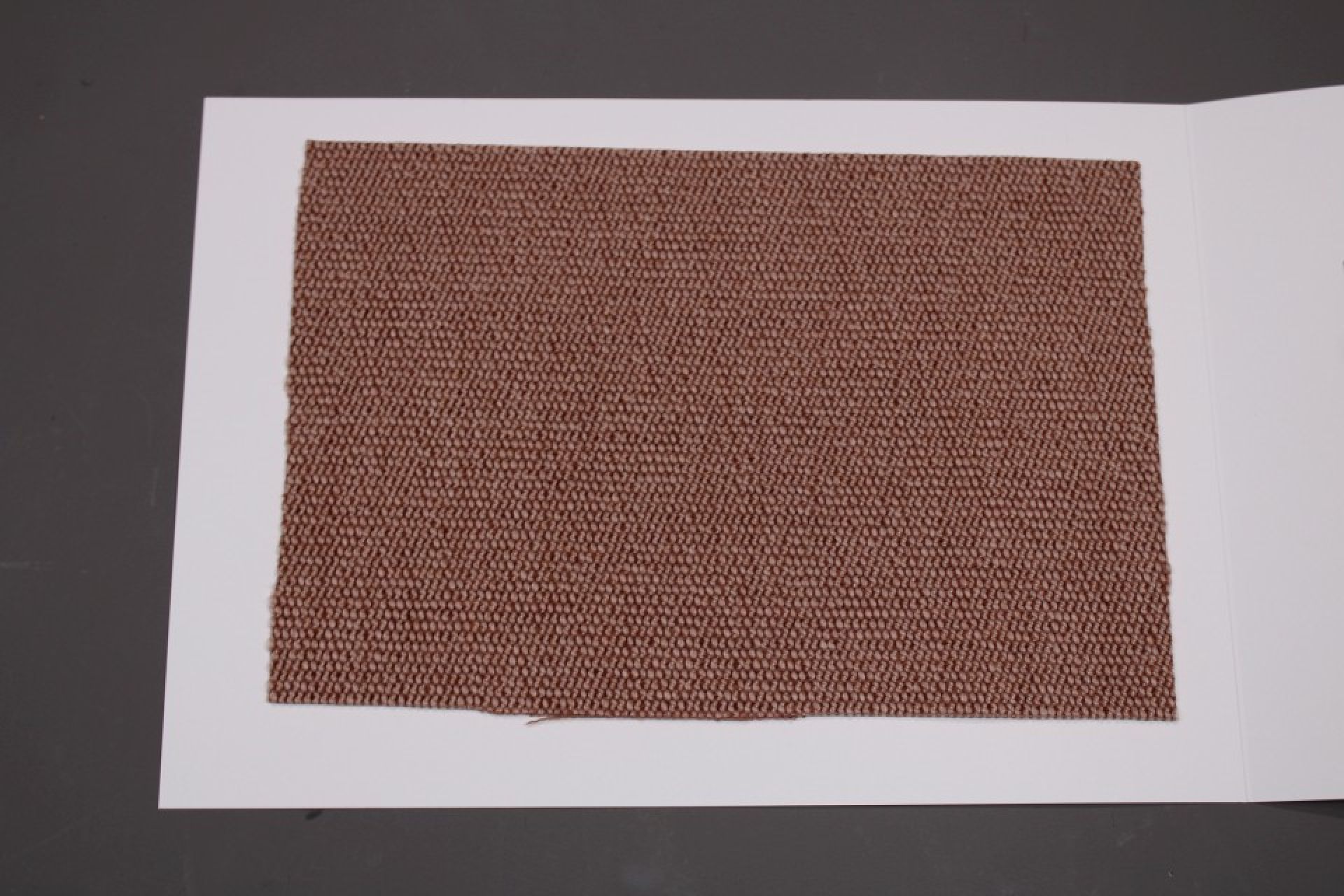Stoffmusterkarte Gruppe 91 Cor: Nahaufnahme eines braunen, gewebten Stoffmusters für Möbel und Polster.